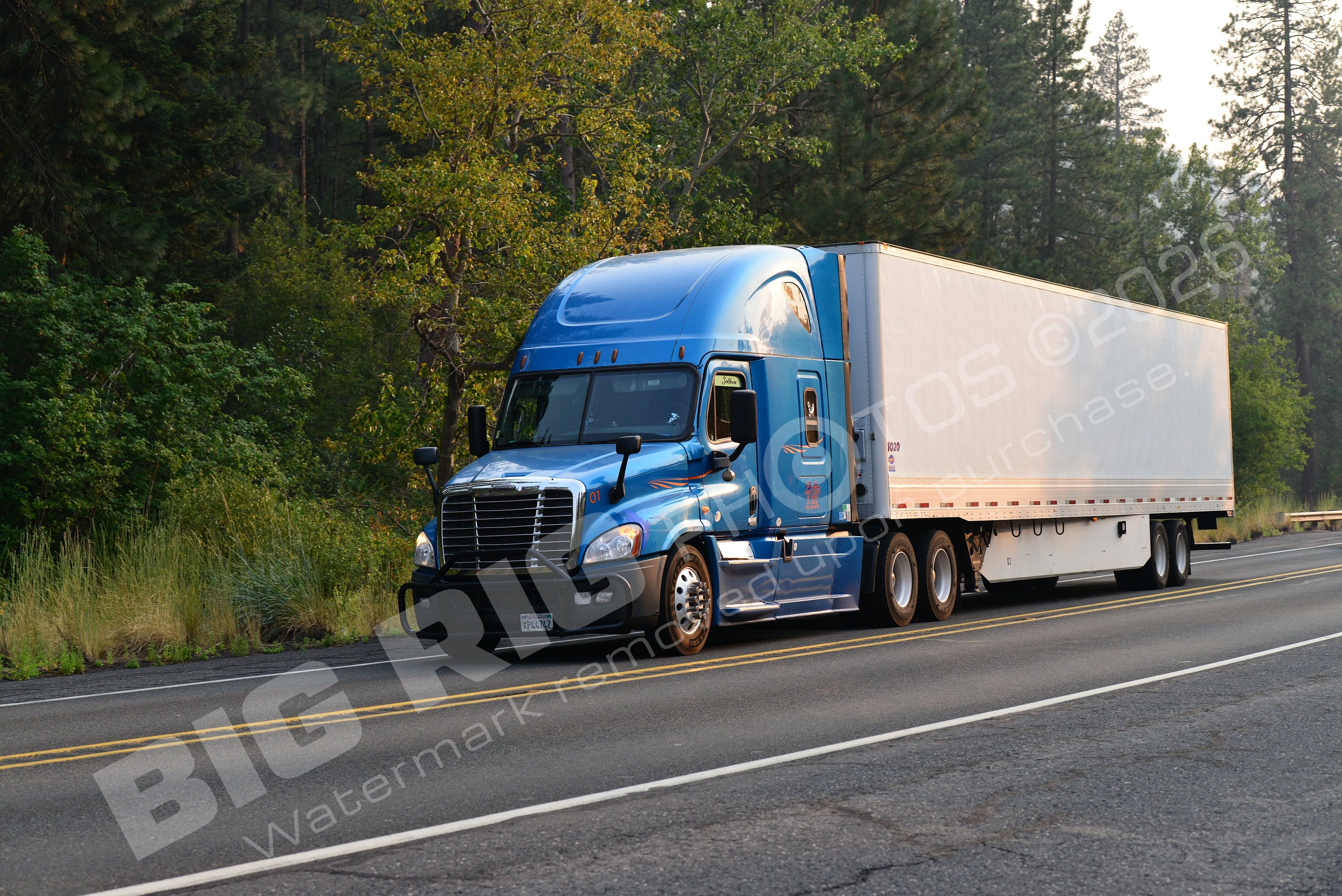 01, BBF, Dry Van, Freightliner Trucks, Sekhon, Sekhon 0, xp44742