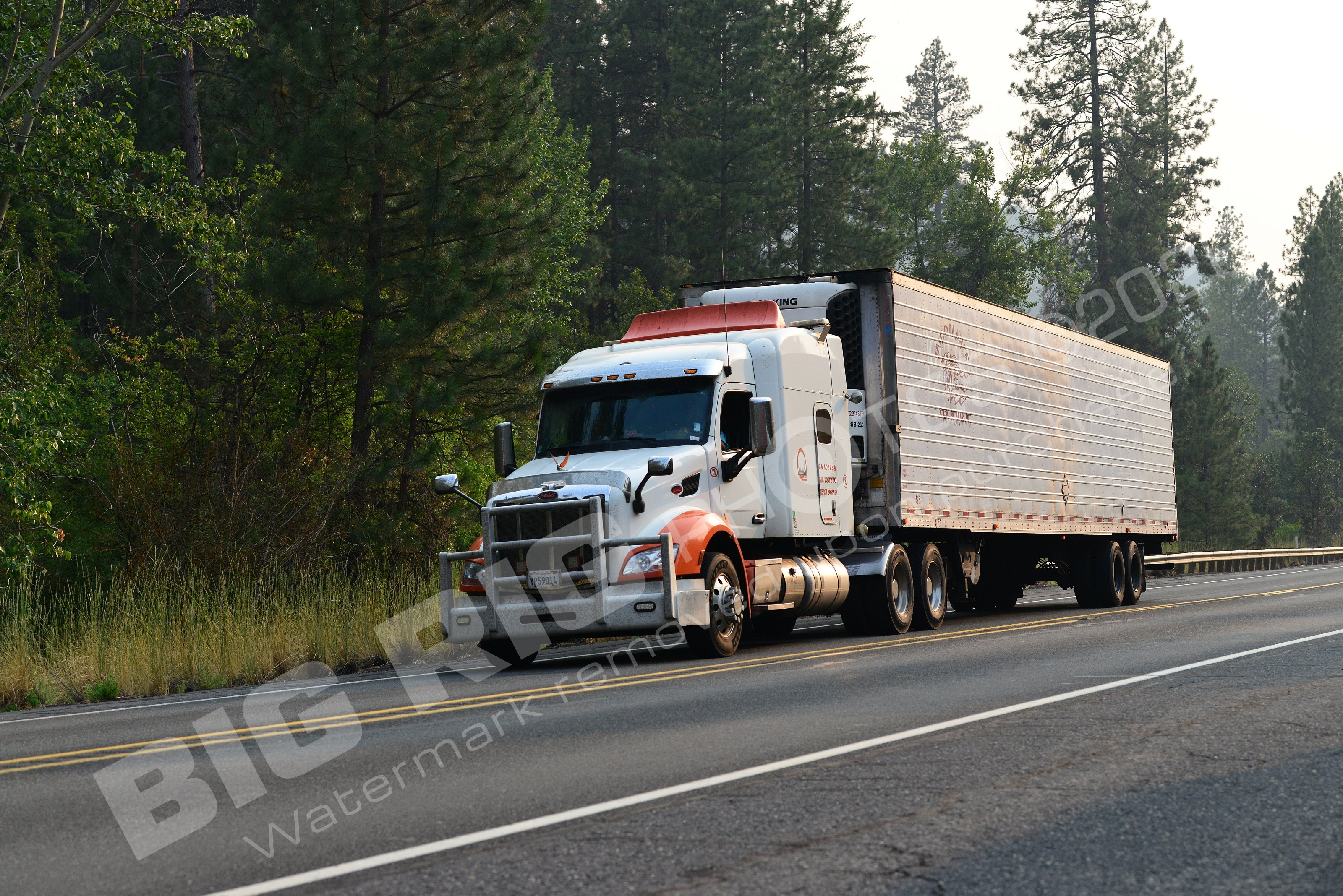 210, BBF, Generic, Peterbilt, Reefer, yp59014