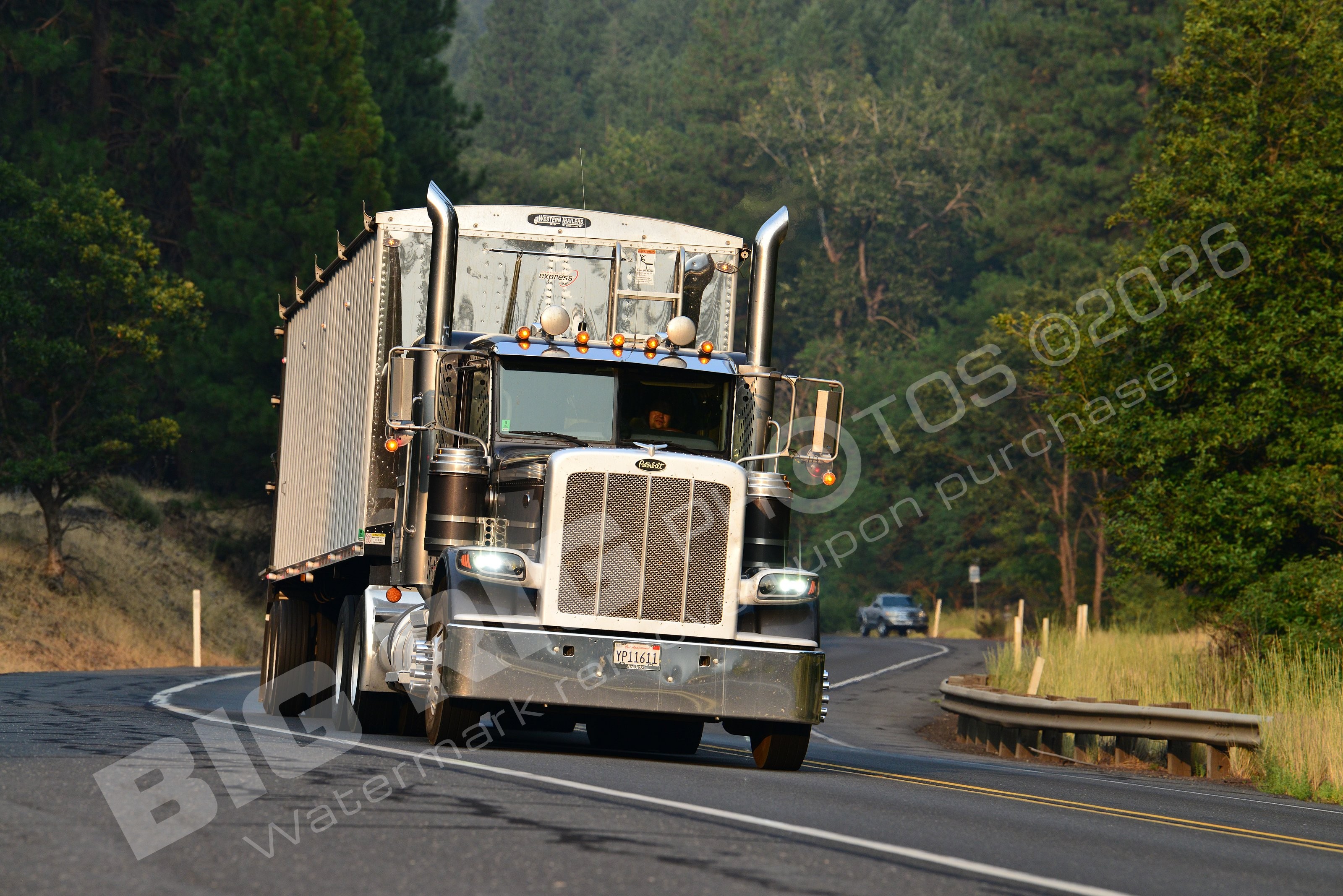 Agriculture, BBF, Dry Van, Logger, Peterbilt, yp11611
