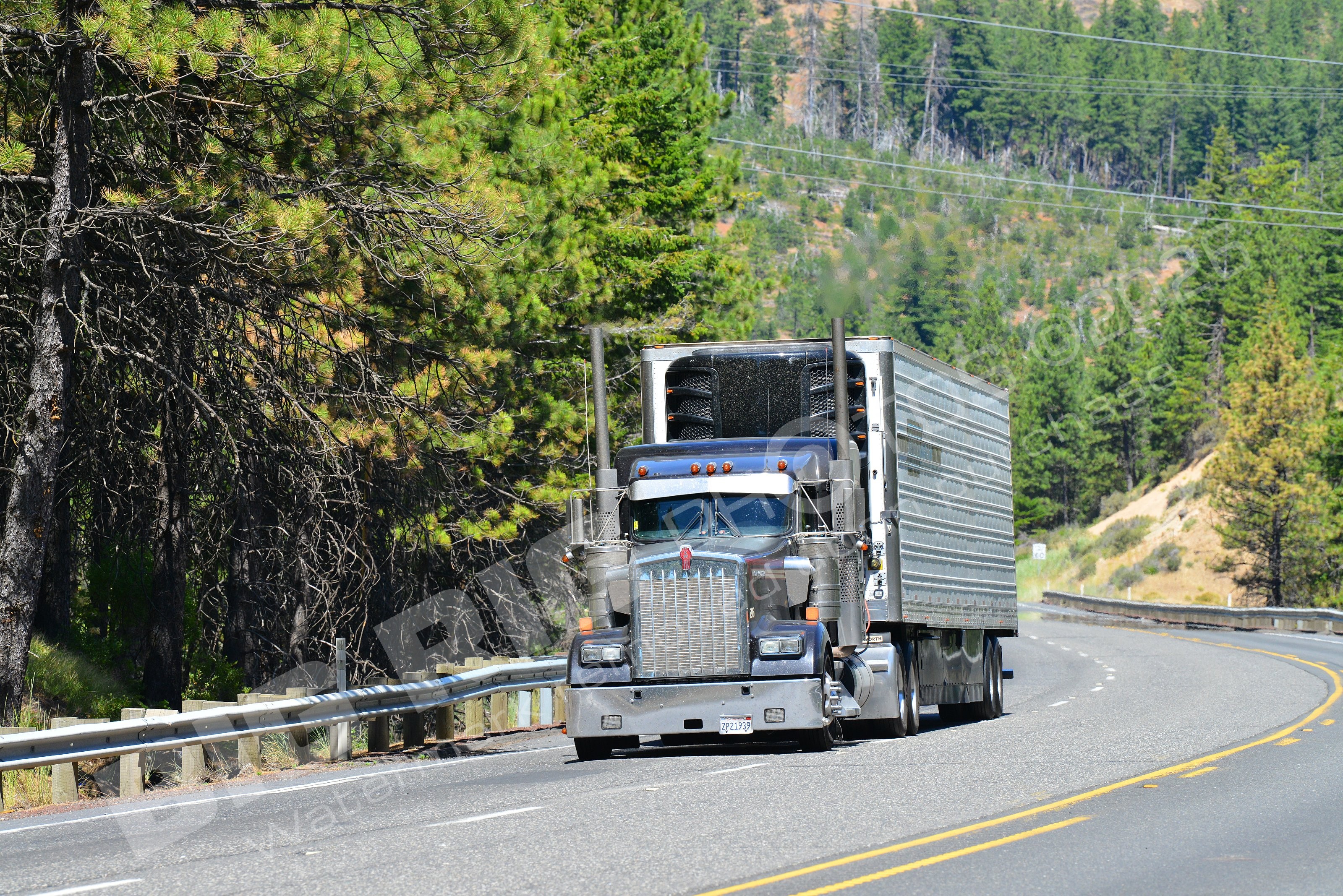 25, BBB, Kenworth, Reefer, VMT Logistics Inc, zp21939