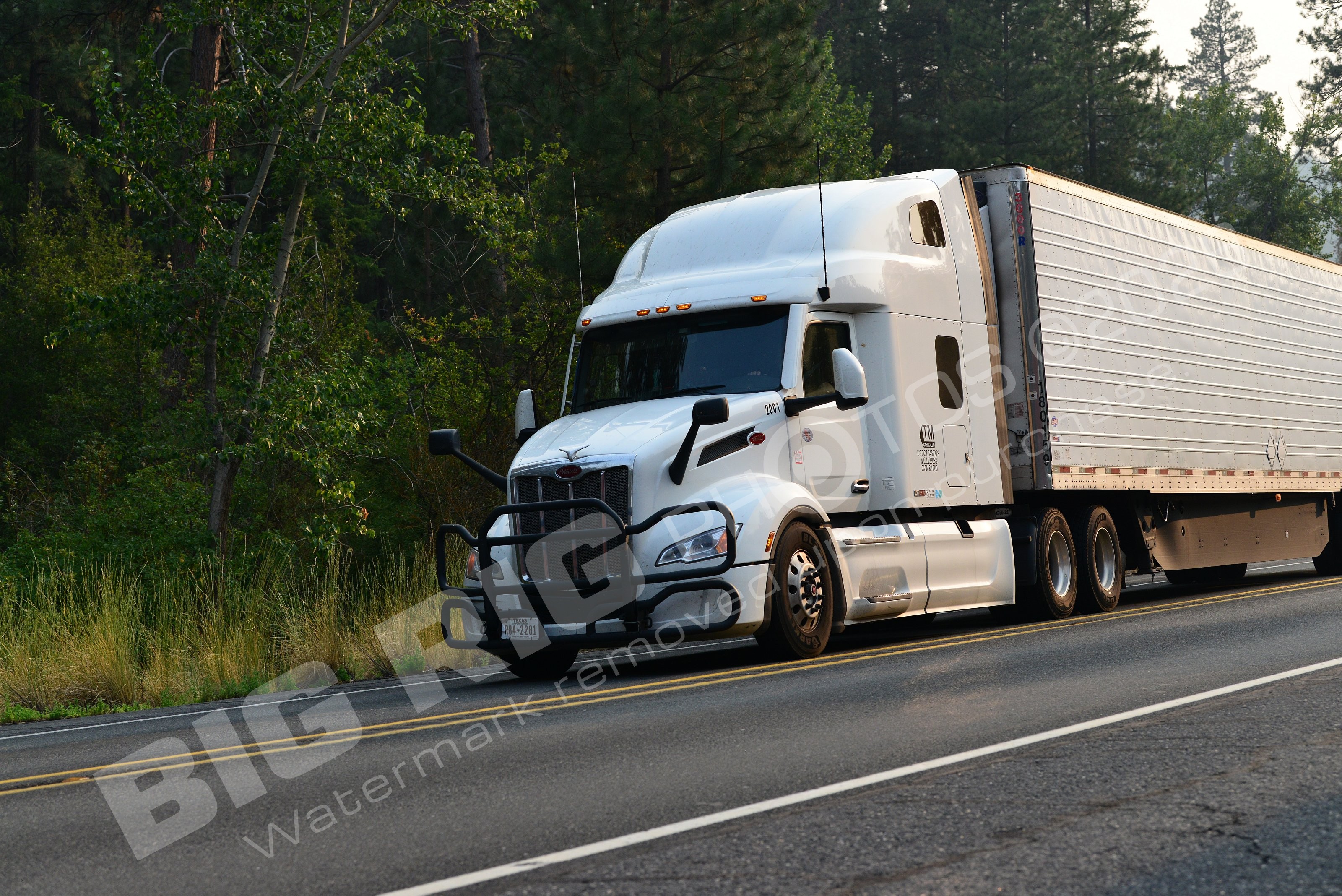 2041, BBF, KLM, KLM 2041, Reefer, r842281