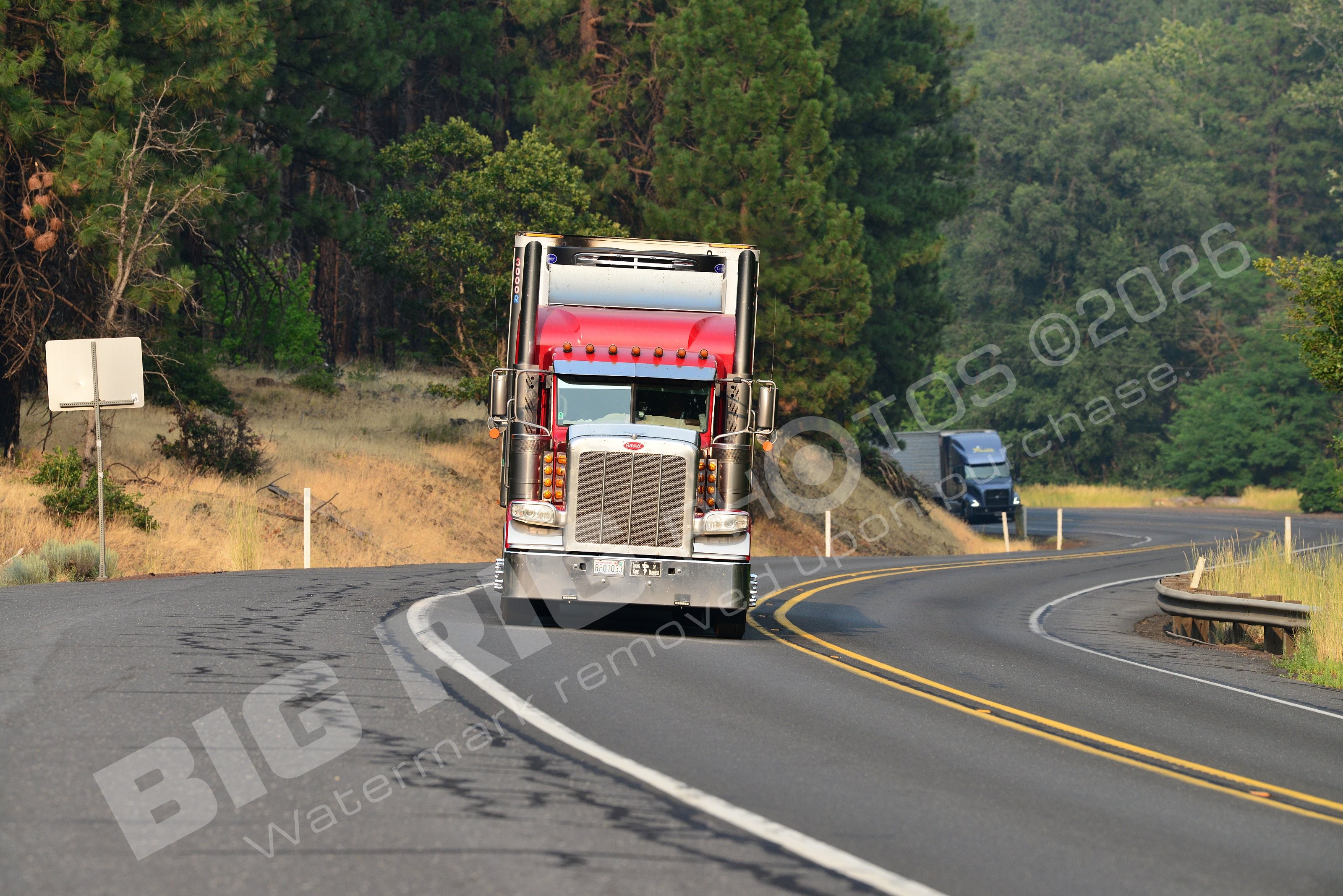 3009, BBF, Dry Van, Peterbilt, rp01033