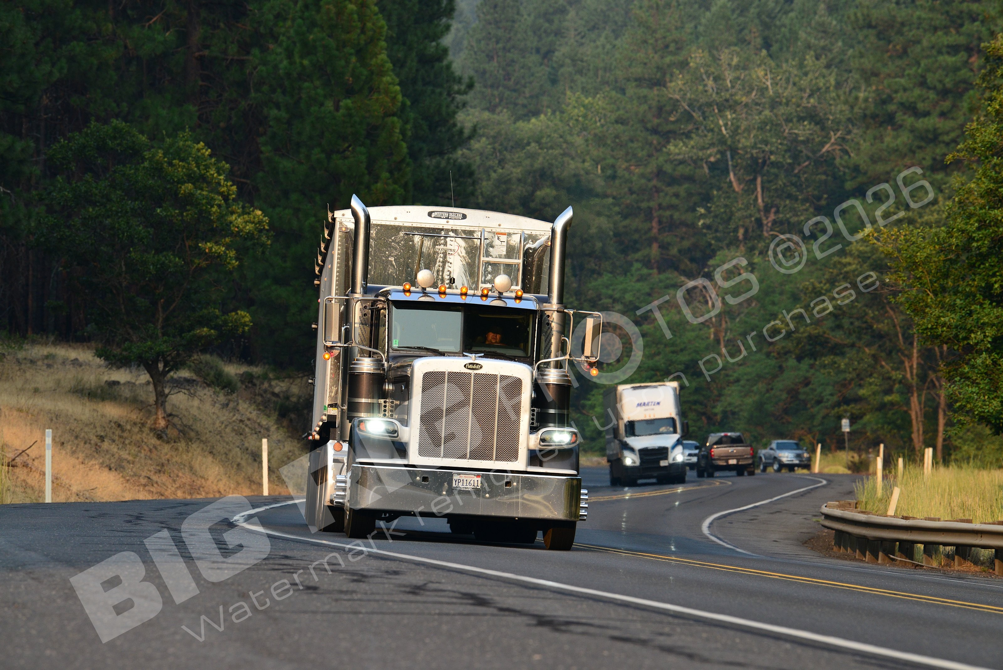 Agriculture, BBF, Dry Van, Logger, Peterbilt, yp11611