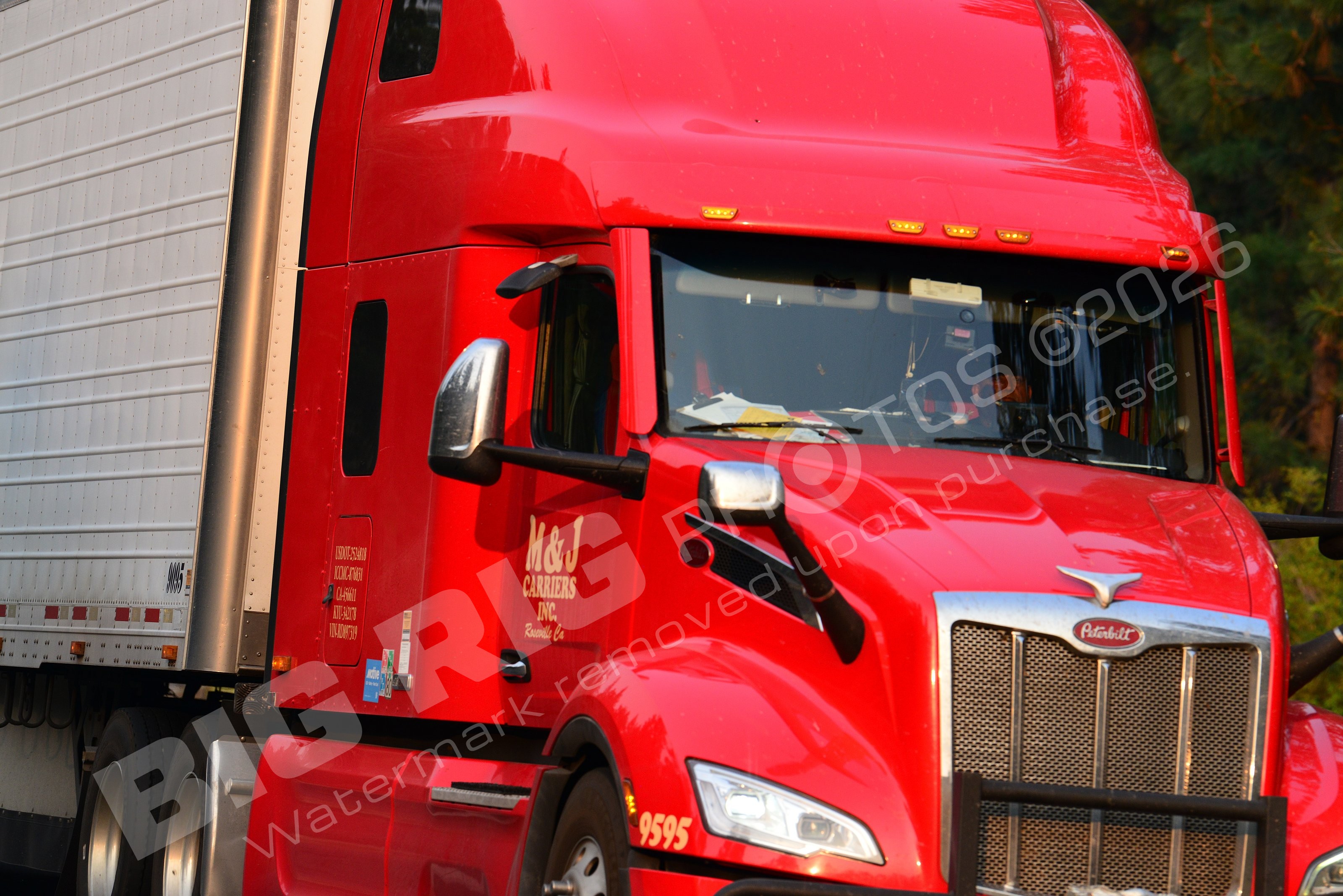 BBF, P, m&j carriers, yp85741, 9595, 9595, m&j carriers 9595