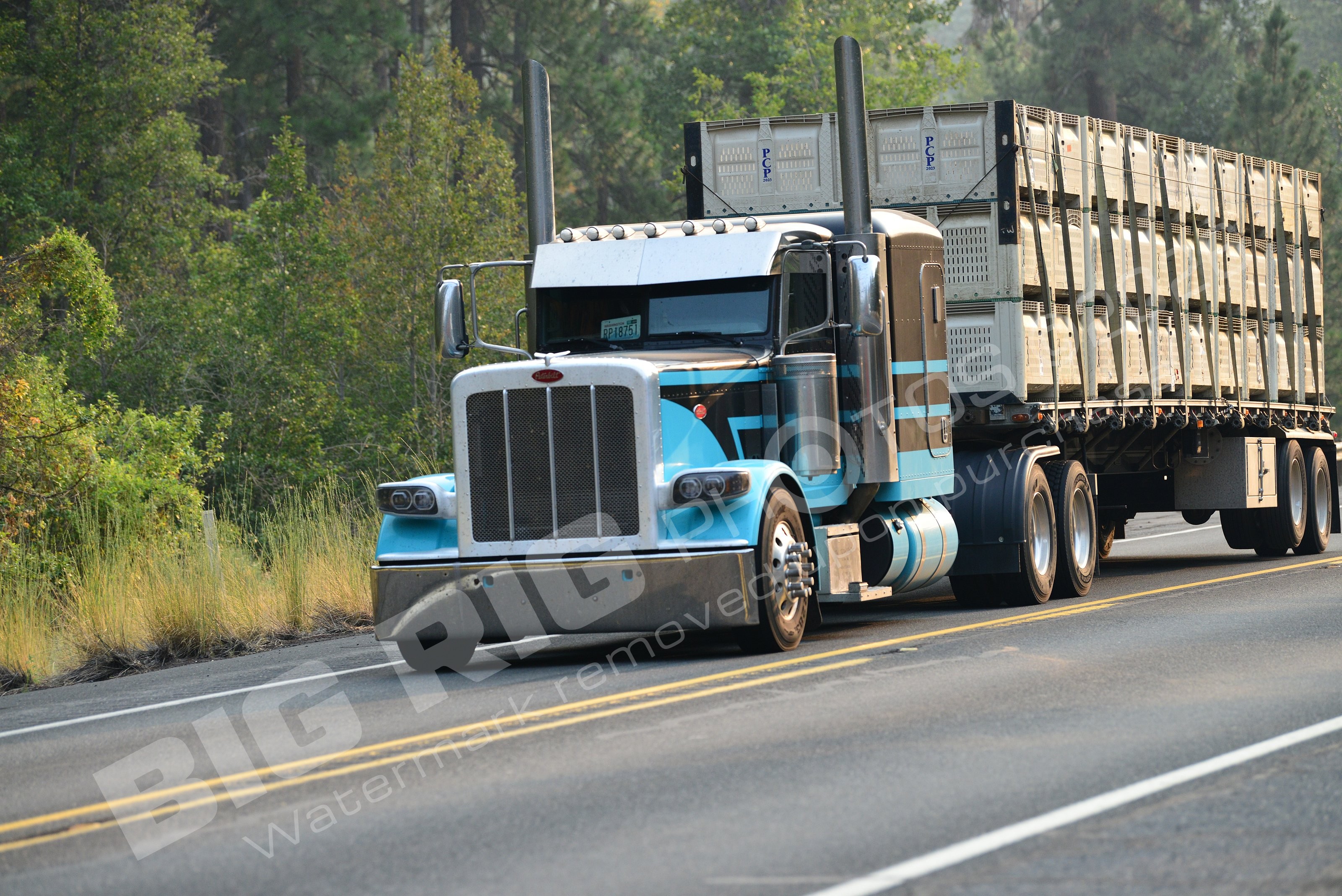 Agriculture, BBF, Flatbed, Livestock, Peterbilt, rpi8751