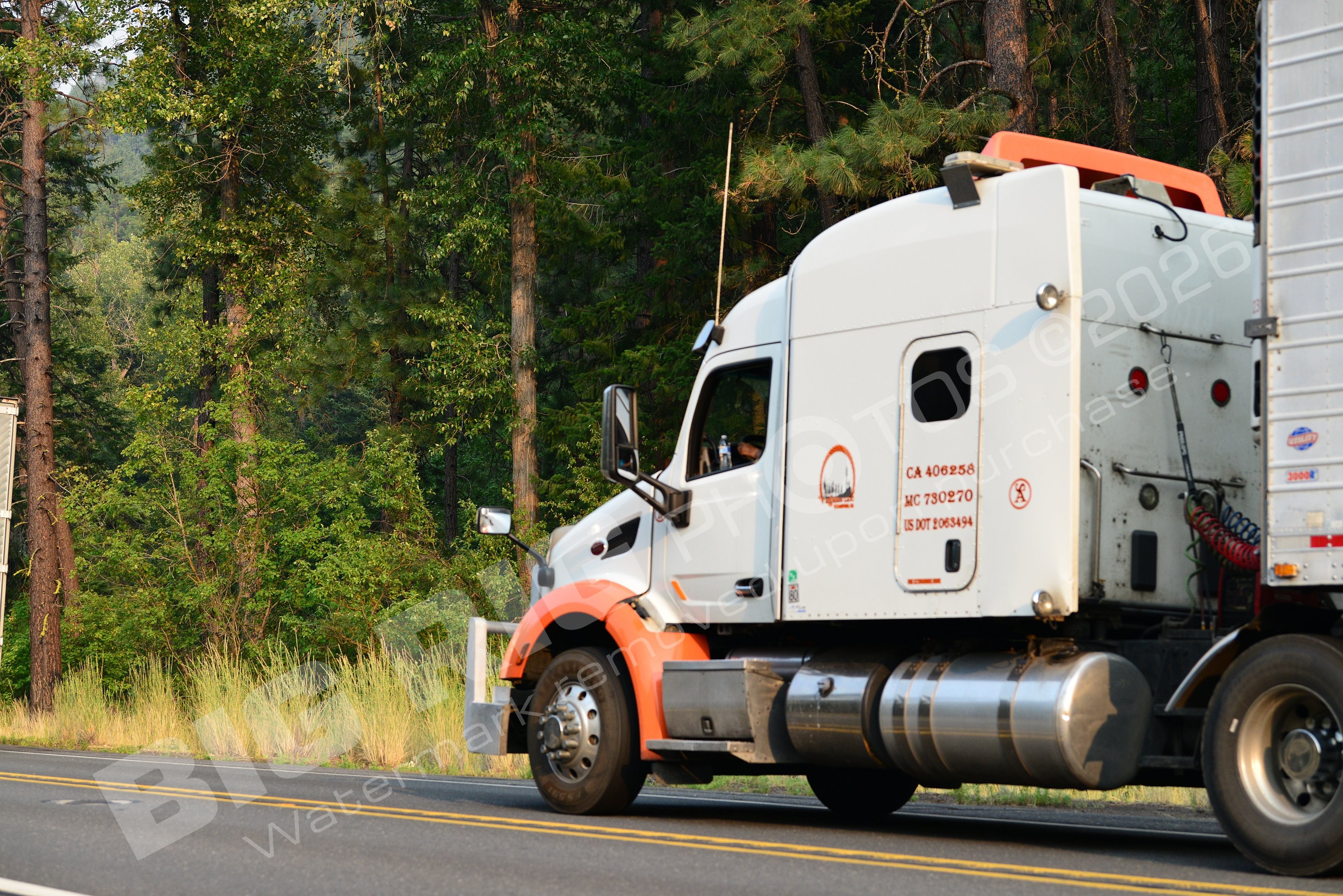 278, BBF, Dry Van, Rippers LLC, Rippers LLC 278