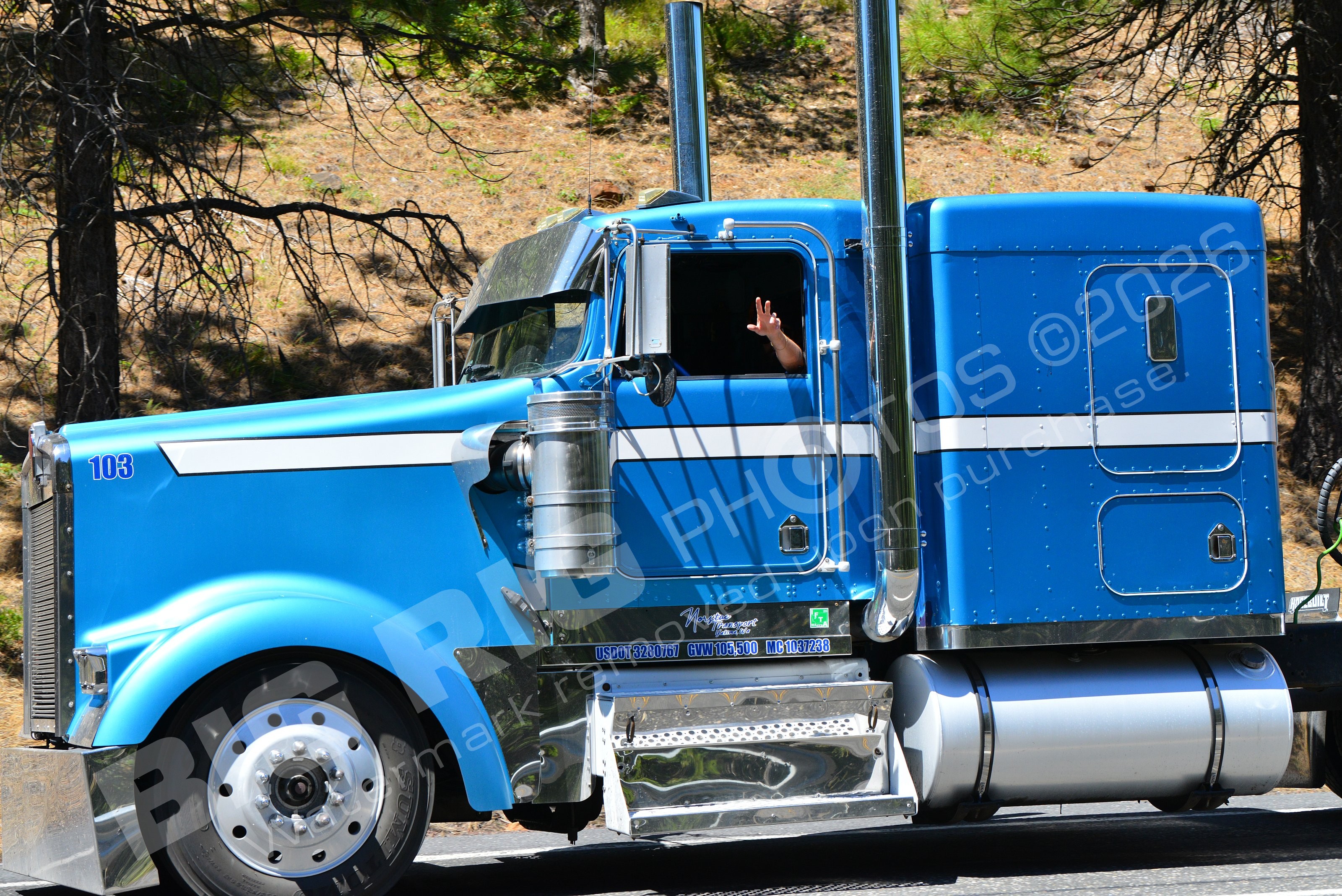 103, Agric, BBB, Flatbed, Native Transport, Native Transport 103