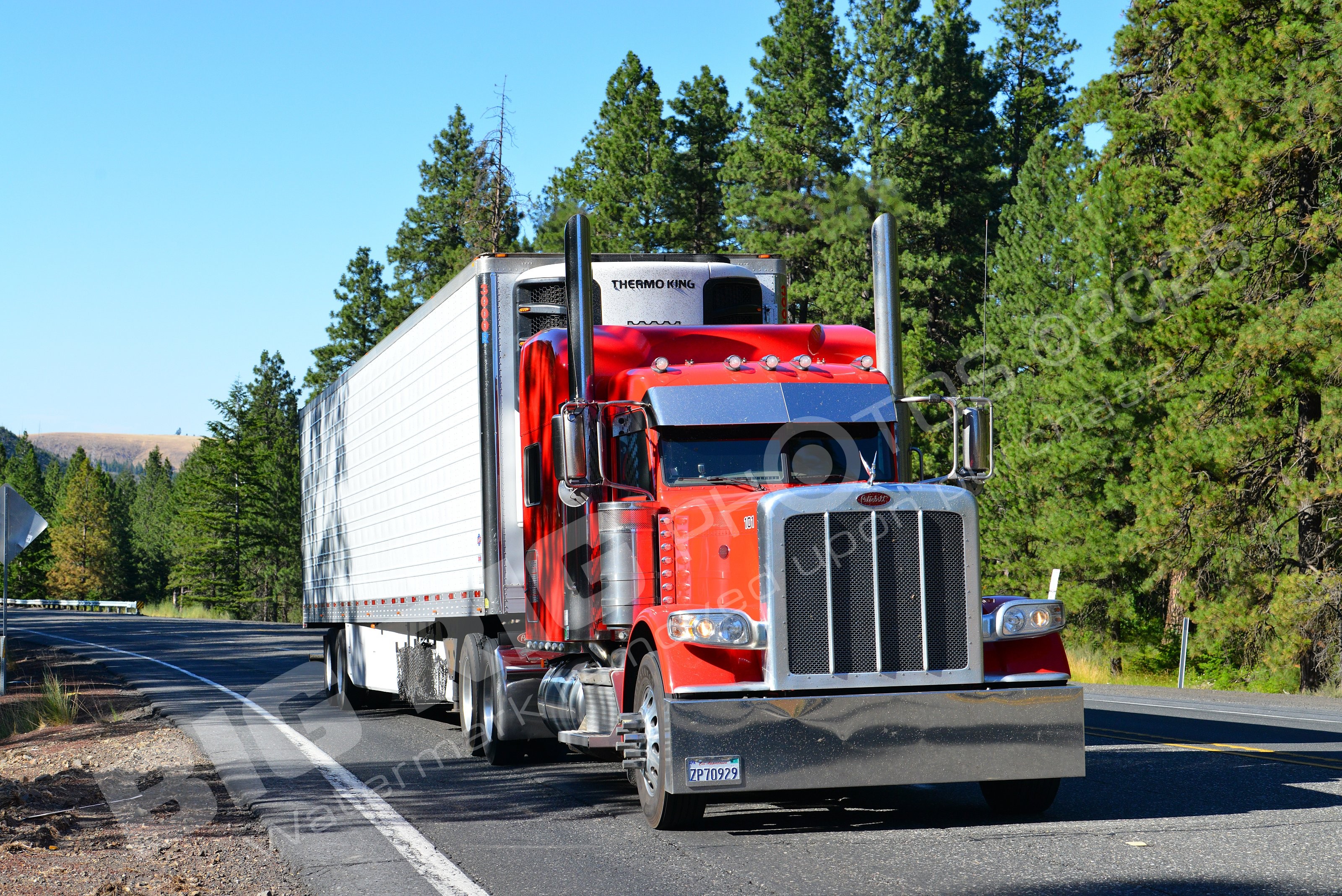 101, BBB, Peterbilt, Reefer, zp70929