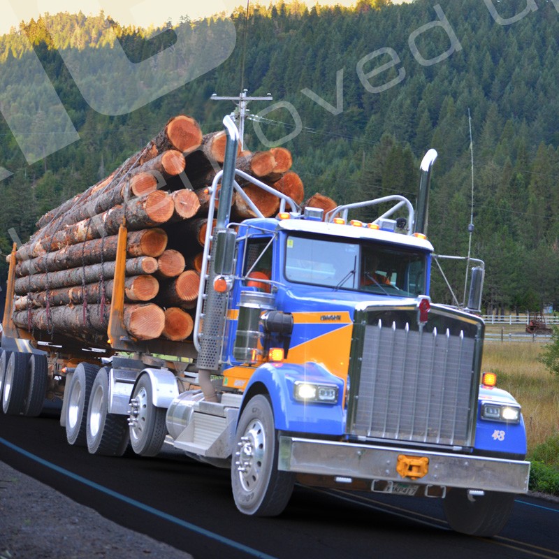 ireland, ireland logging, log truck, logging