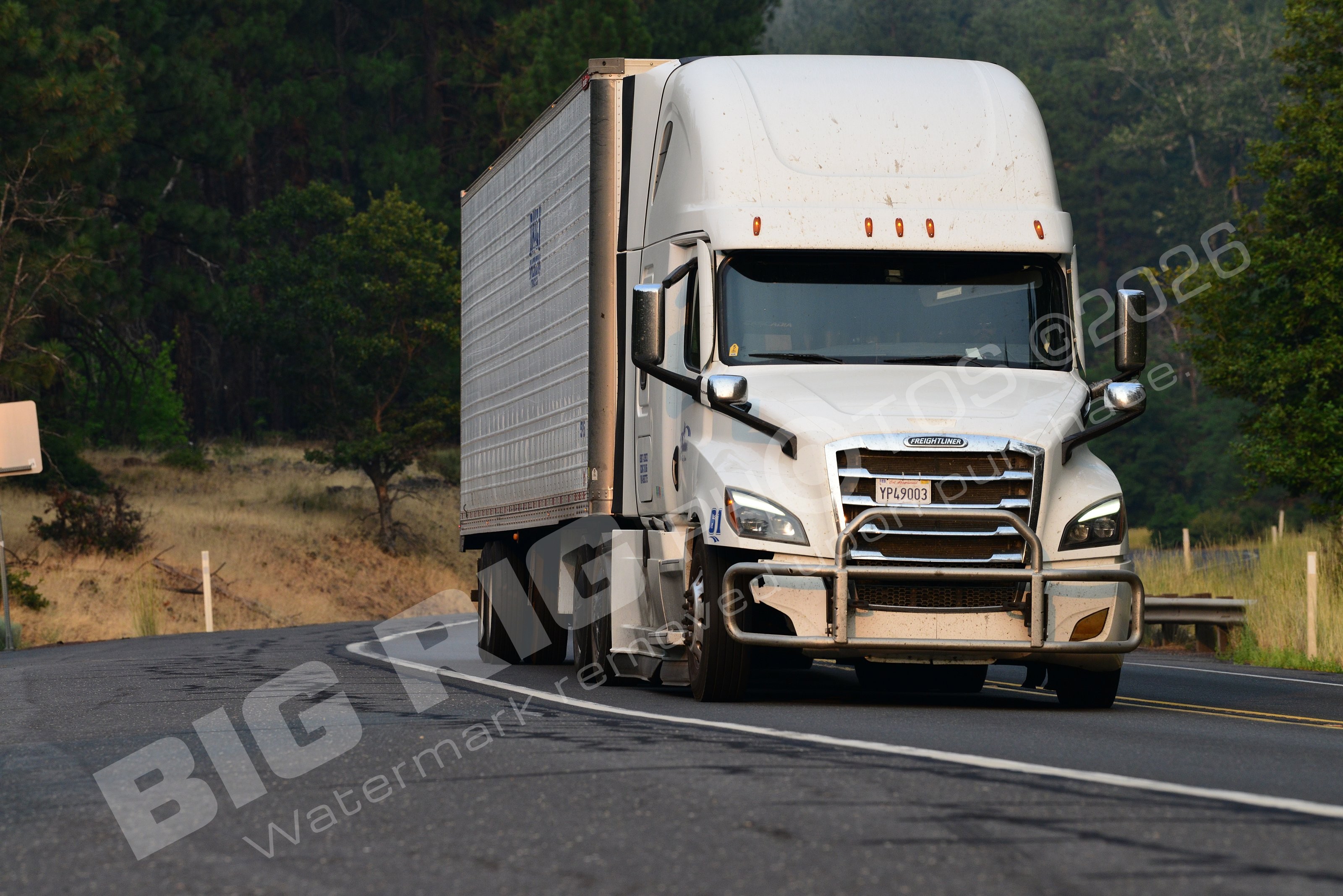61, BBF, Dry V, Freightliner Trucks, Inspiration, white, yp49003