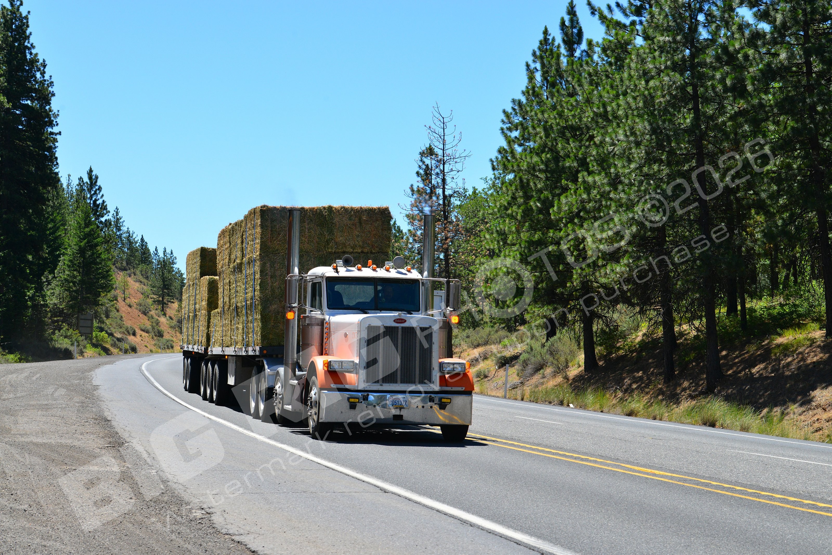 2303, Agriculture, BBB, Peterbilt, c05137z