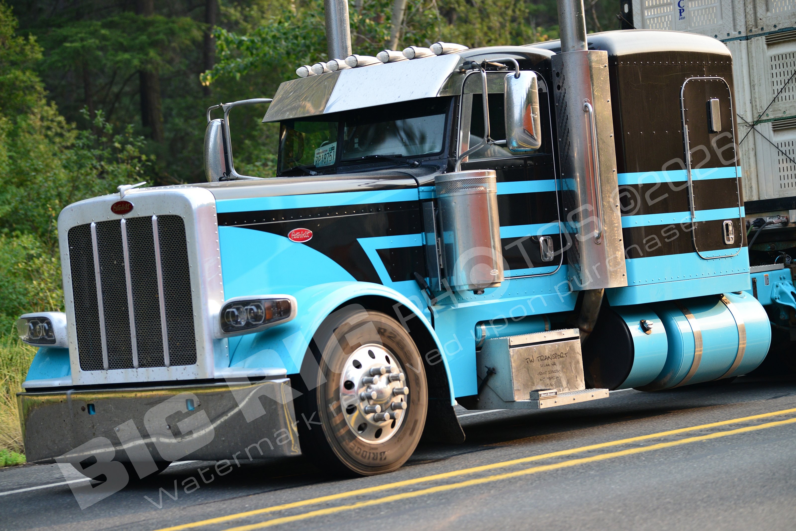 Agriculture, BBF, Flatbed, Livestock, Peterbilt, rpi8751