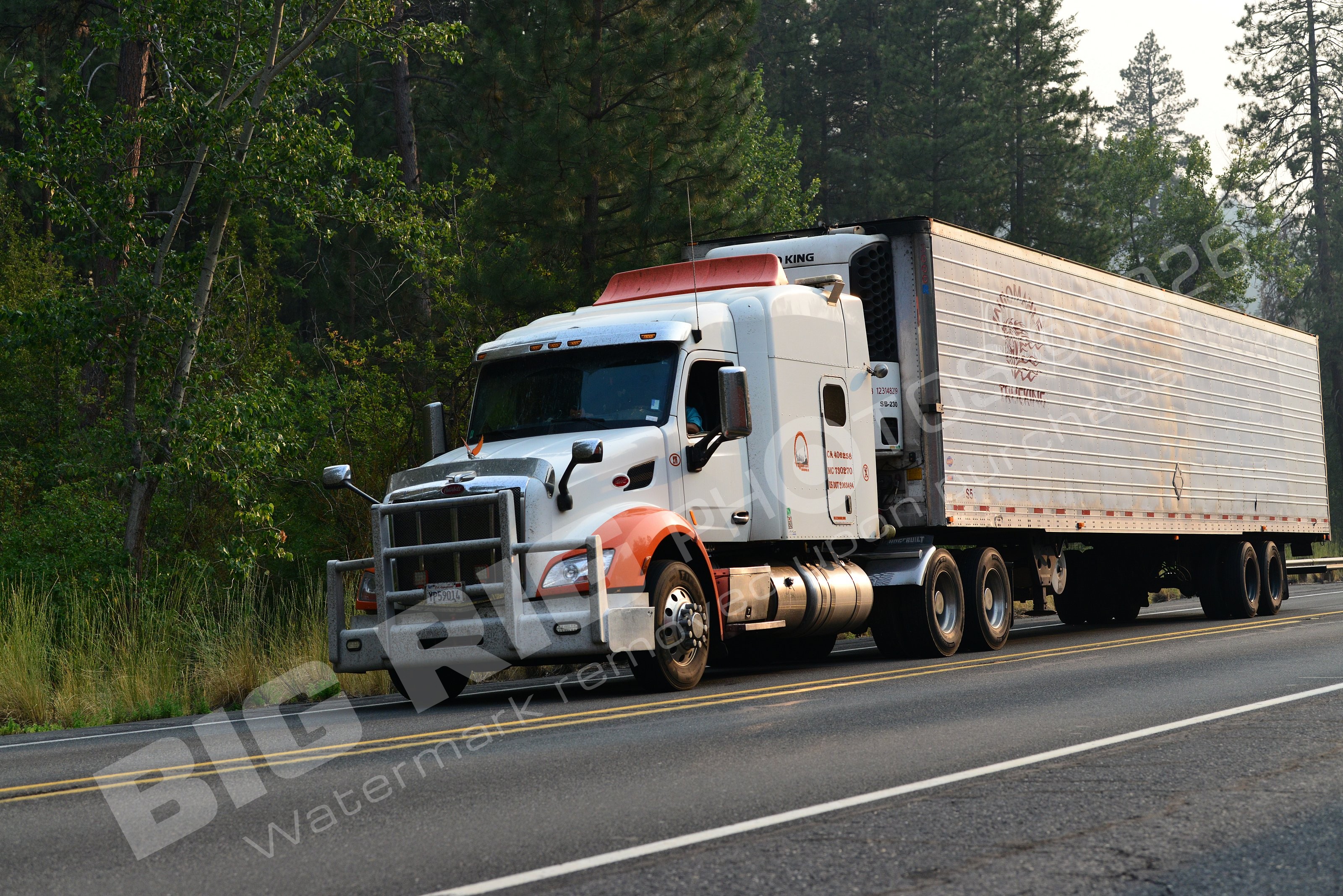 210, BBF, Generic, Peterbilt, Reefer, yp59014