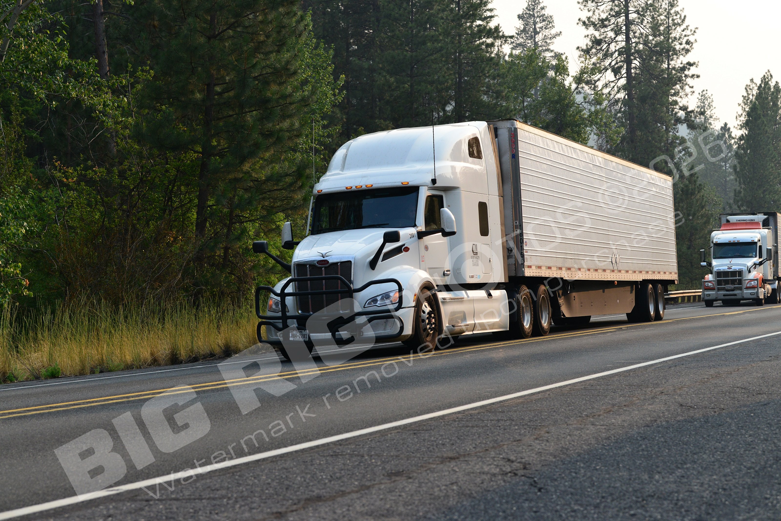 2841, BBF, Freightliner Trucks, Reefer, r842281