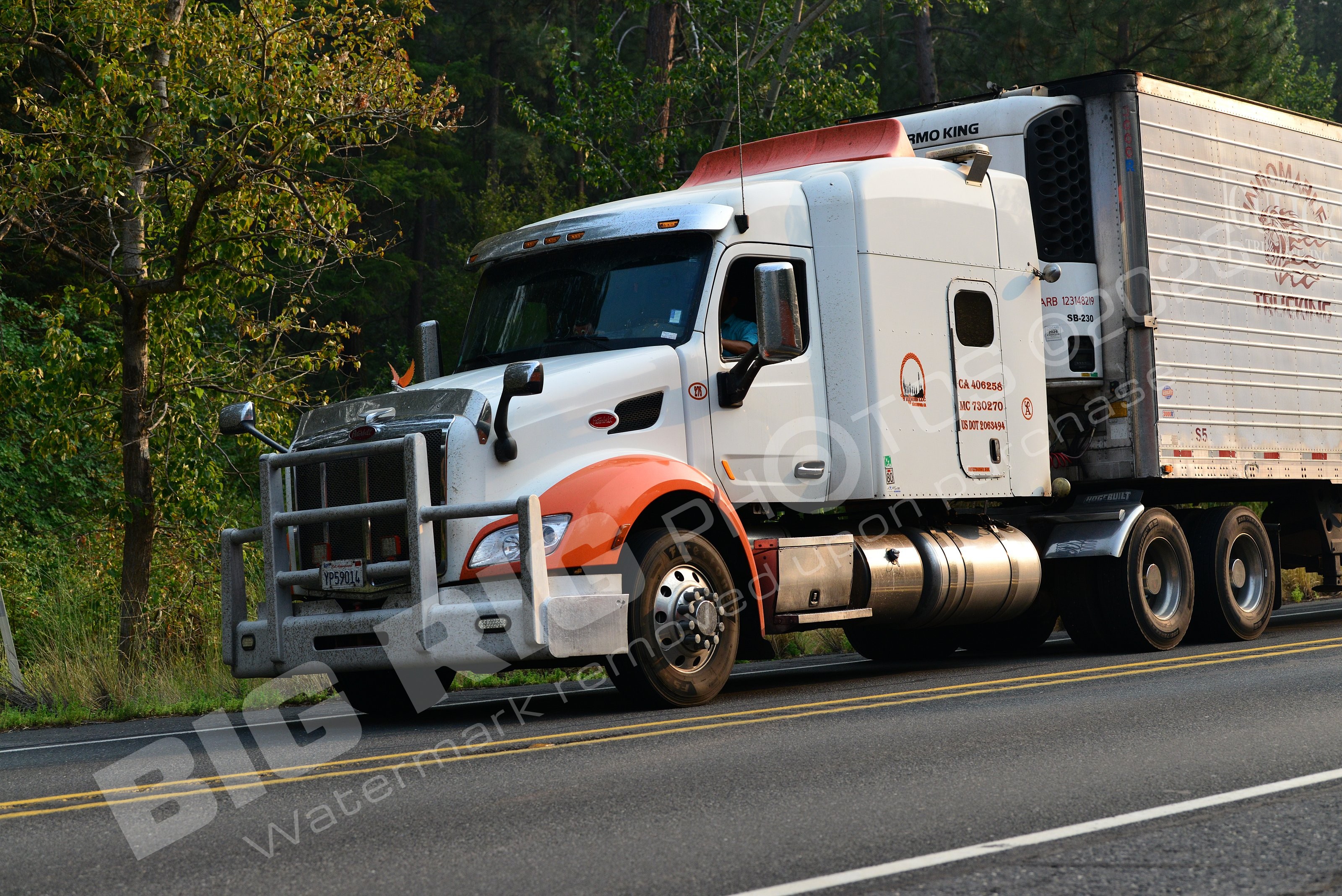 210, BBF, Generic, Peterbilt, Reefer, yp59014