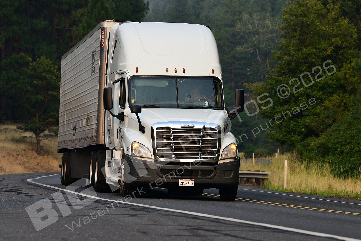 965, BBF, Dry Van, Freightliner Trucks, Reefer, zp12653