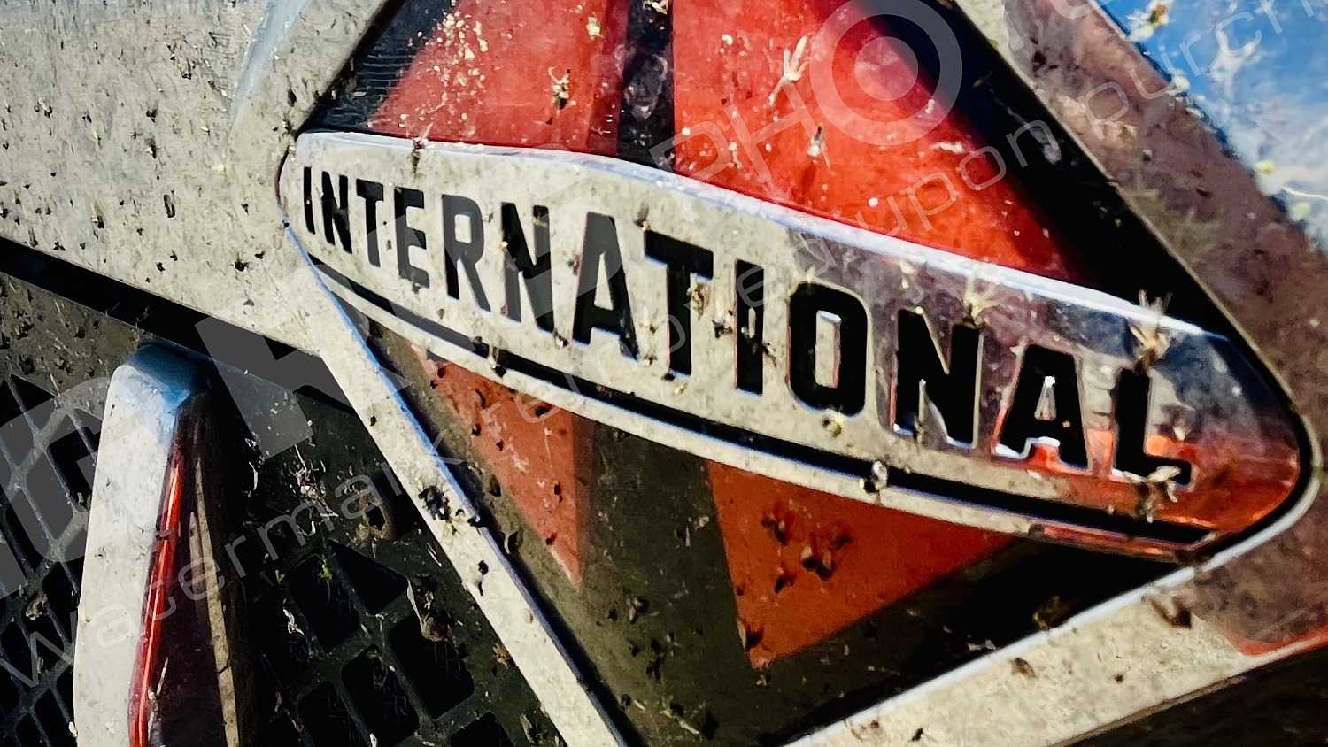 international