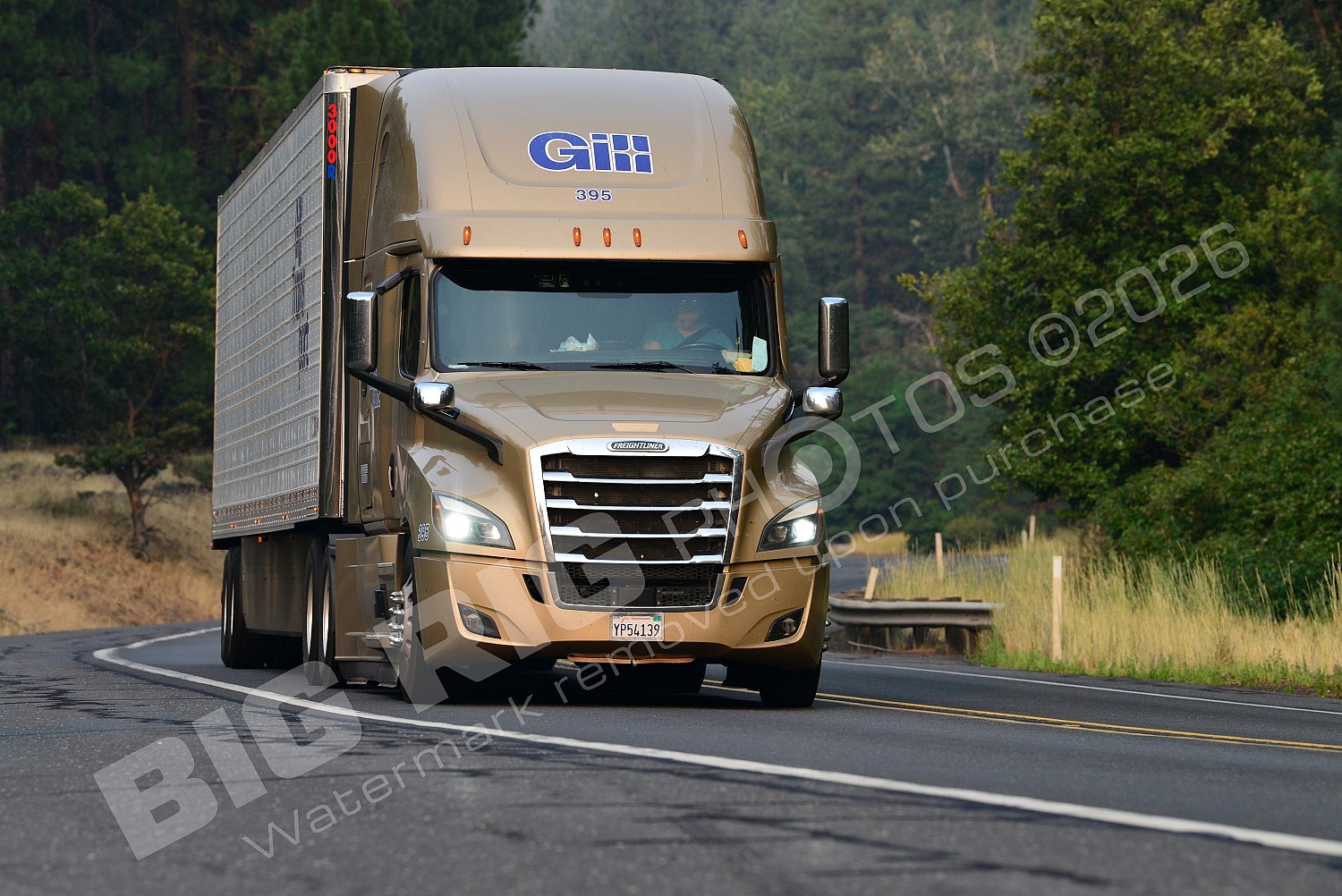 395, BBF, Freightliner Trucks, Gill, Gill 395, Reefer, yp54139