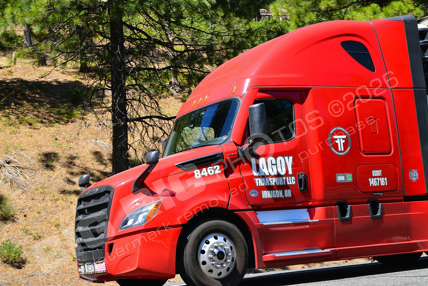 8462, 146716, BBB, Lagoy Transport LLC, Lagoy Transport LLC 8462
