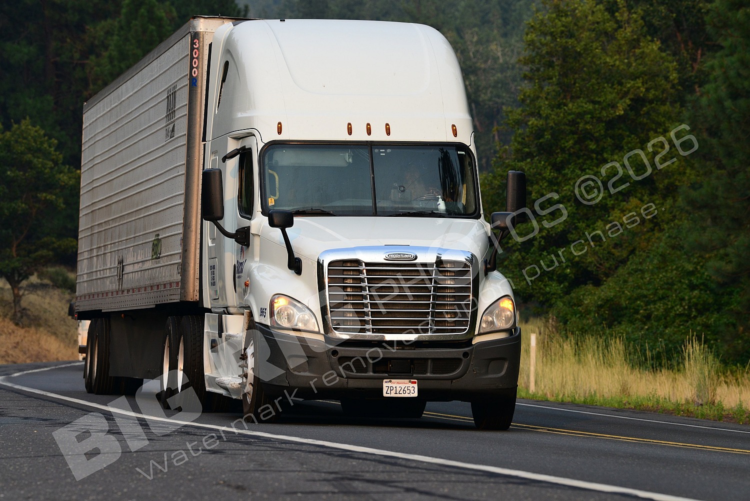 965, BBF, Dry Van, Freightliner Trucks, Reefer, zp12653