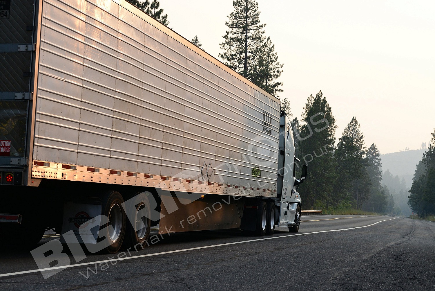 BBF, Freightliner Trucks, Reefer, Sartaj Highways Inc, yp49003