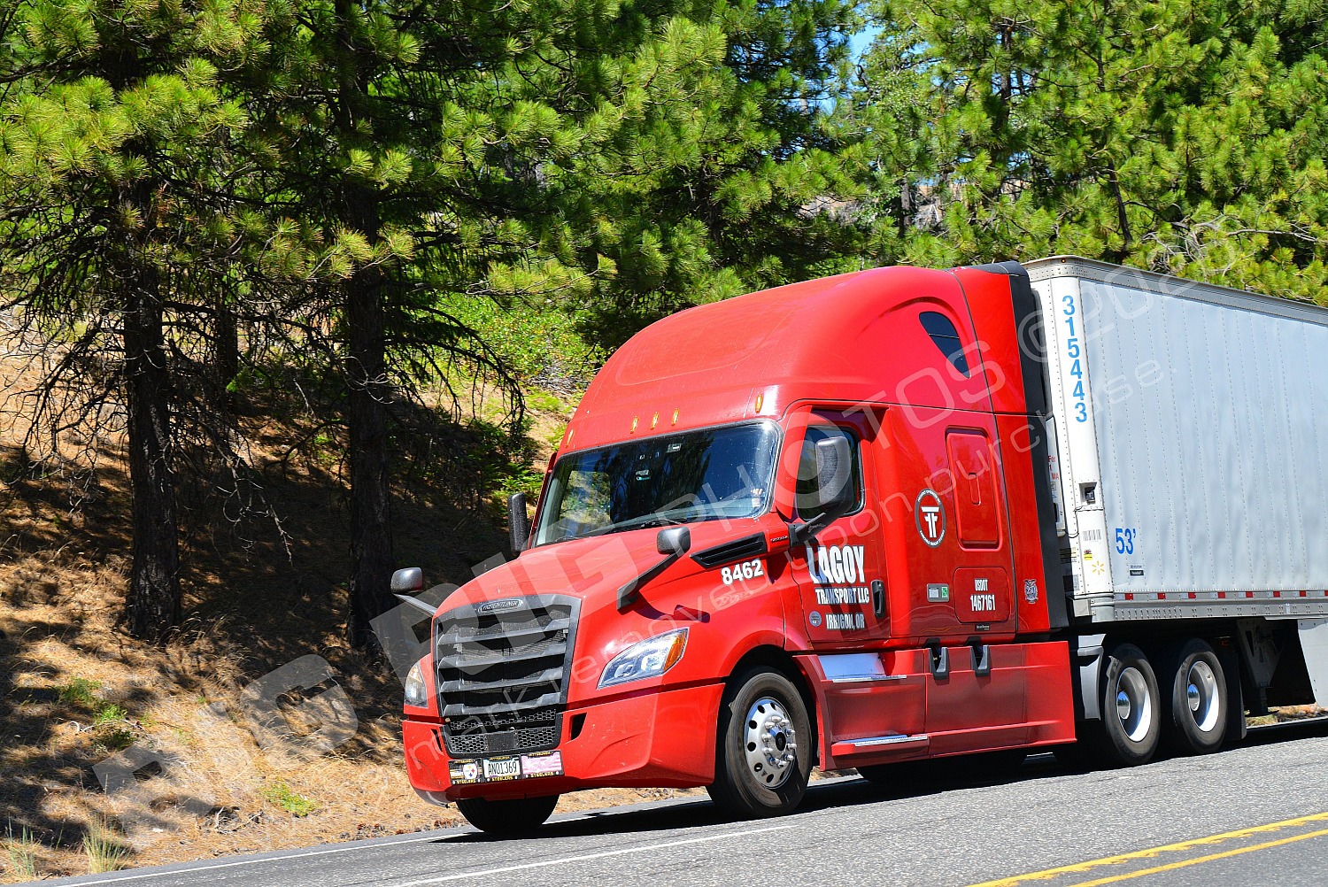 8462, BBB, Lagoy Transport LLC, Lagoy Transport LLC 8462, an0136