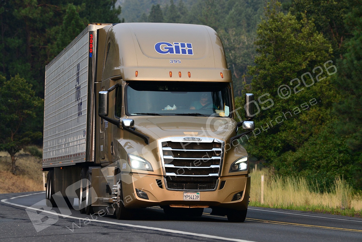 395, BBF, Freightliner Trucks, Gill, Gill 395, Reefer, yp54139