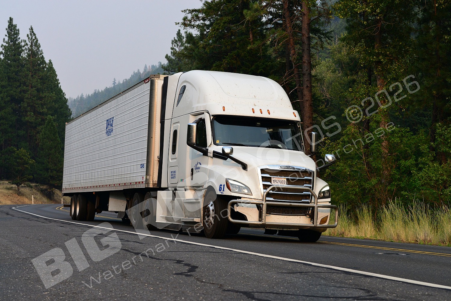 61, BBF, Freightli, Pride Transport, Pride Transport 61, yp49003