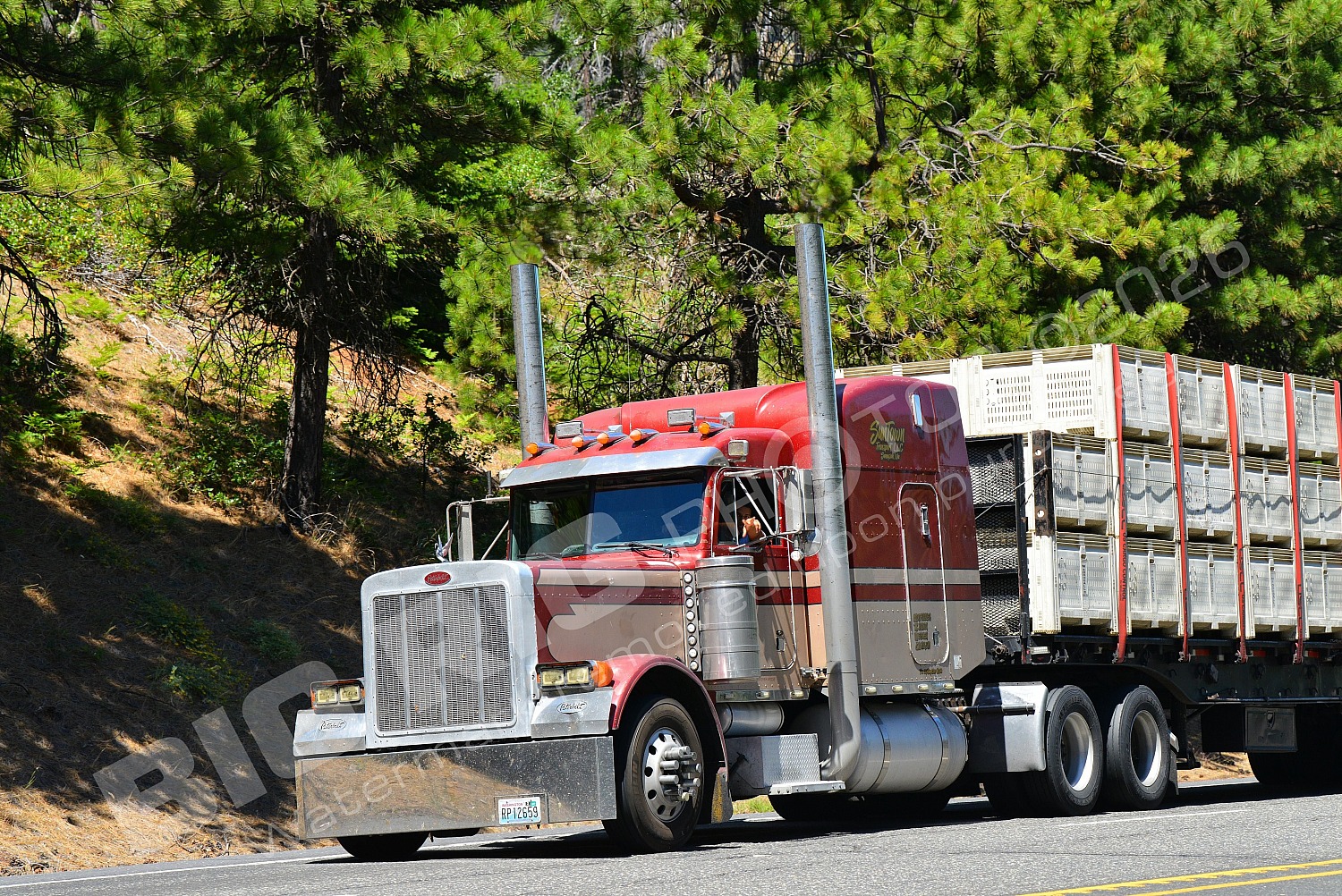 Agriculture, BBB, Peterbilt, SunTown Produce, rp12659