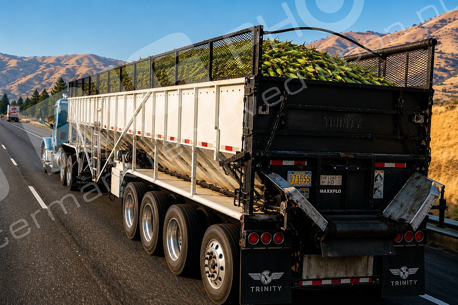 agriculture, corn, corn hauler, i84_the_dalles_2026-08-04_corn