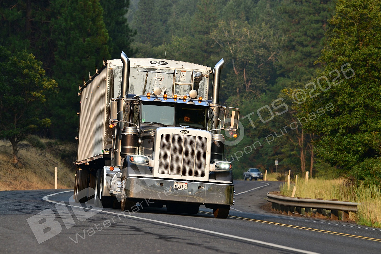 Agriculture, BBF, Dry Van, Logger, Peterbilt, yp11611