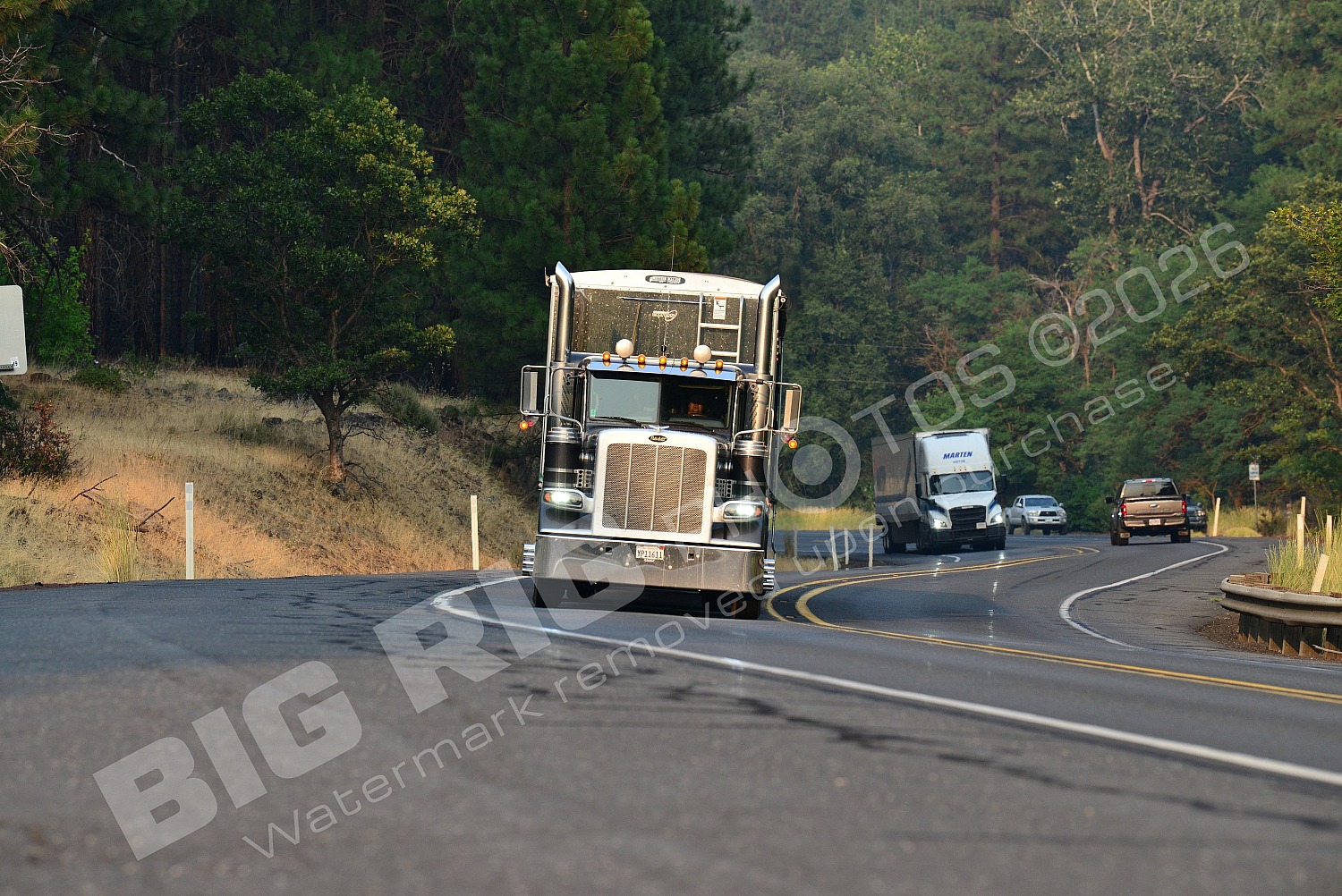 Agriculture, BBF, Dry Van, Logger, Peterbilt, yp11611