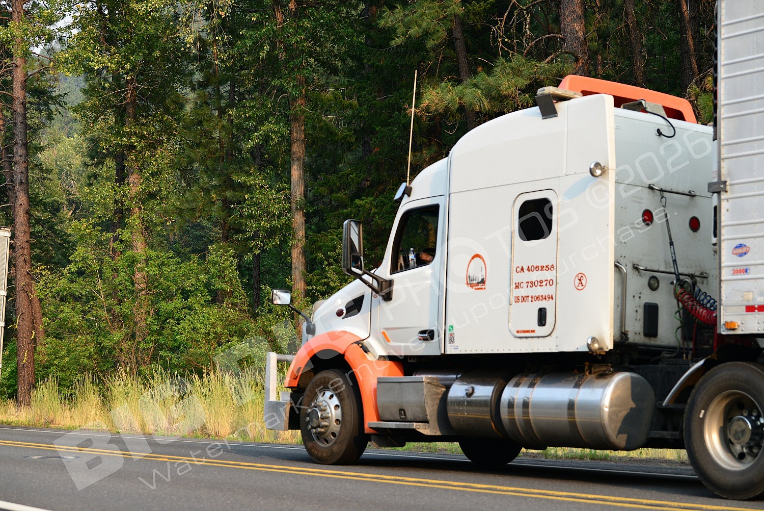 278, BBF, Dry Van, Rippers LLC, Rippers LLC 278