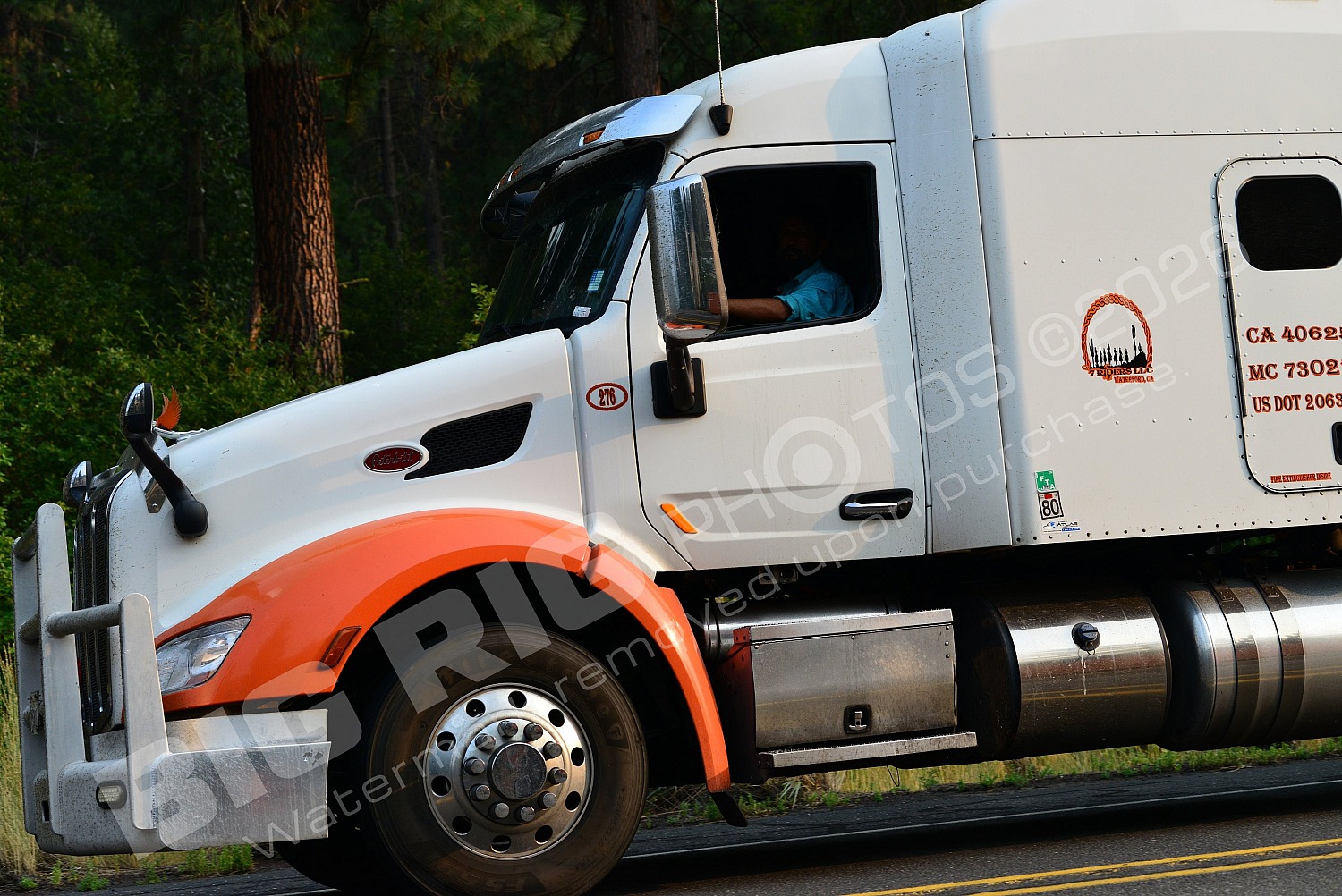 278, BBF, Dry Van, Rippers LLC, Rippers LLC 278