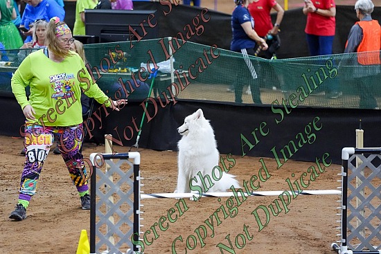 2026 DACOF Action Images