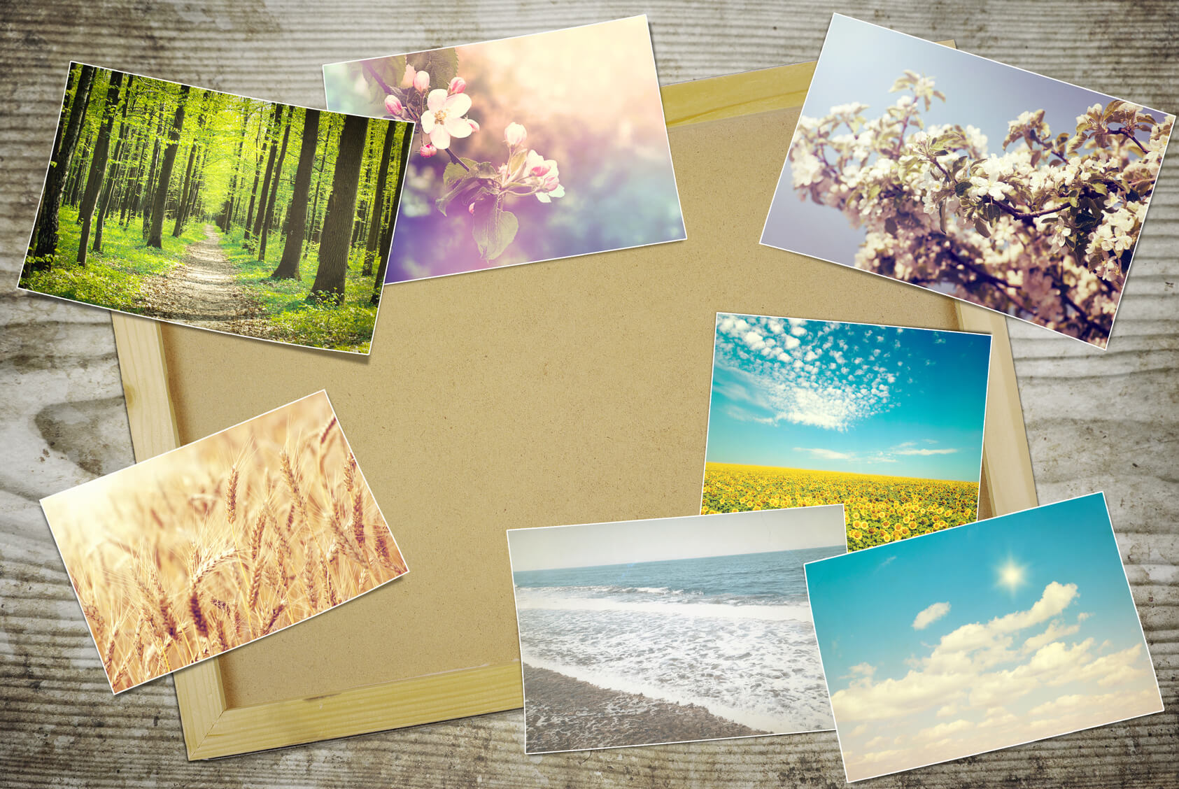 Create a board of place you wish to travel and teach when you have completed your course.