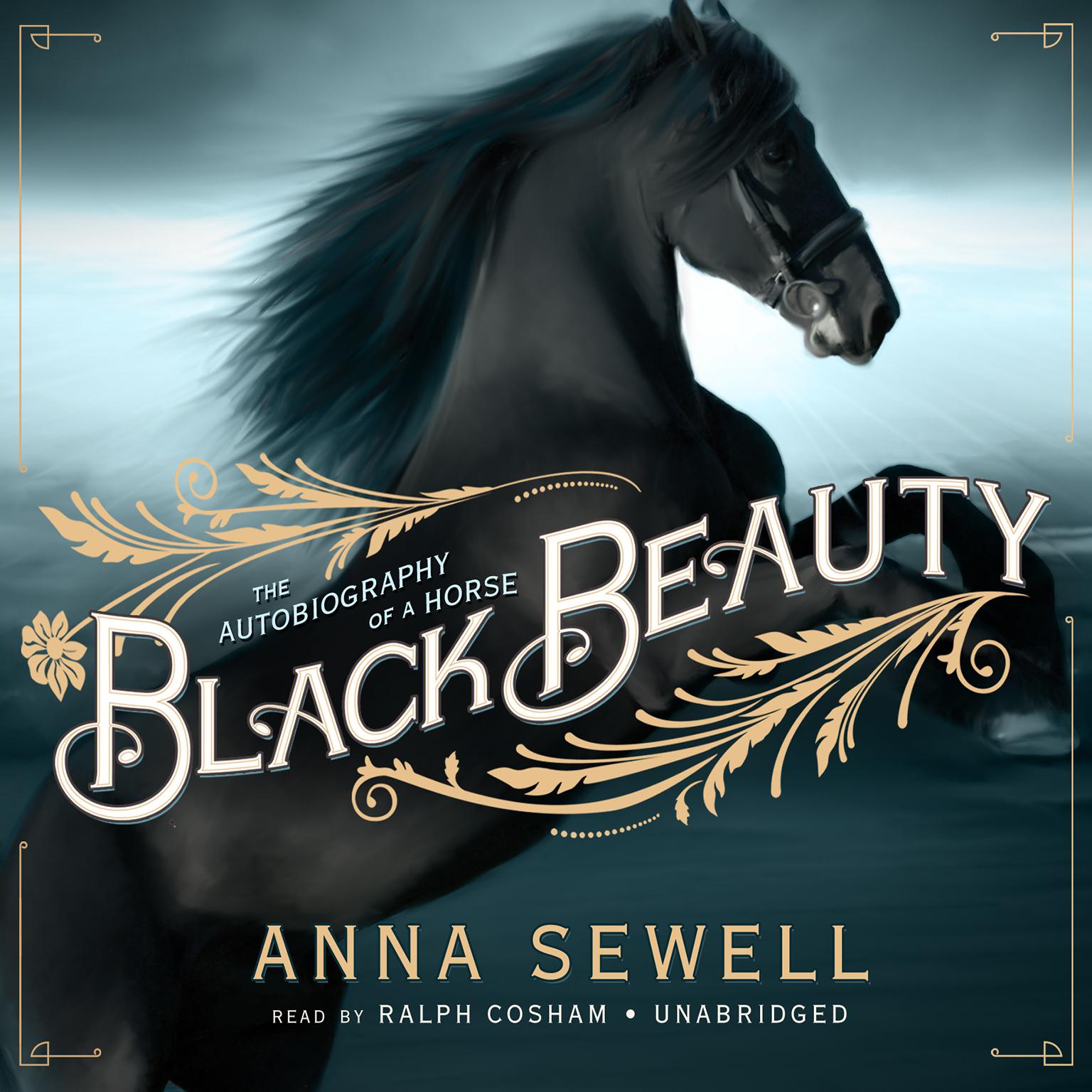 black beauty original book