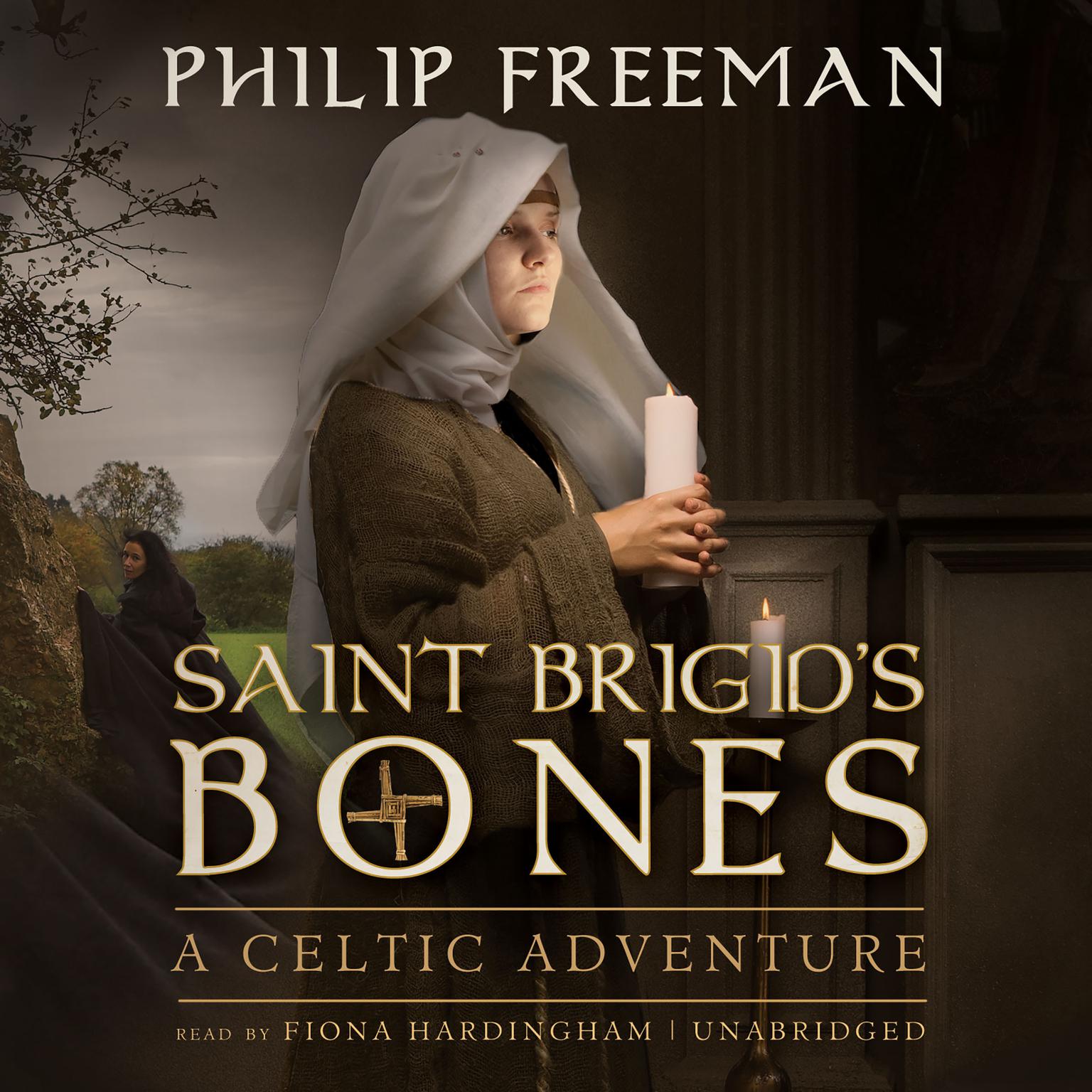 Saint Brigid S Bones Audiobook Listen Instantly