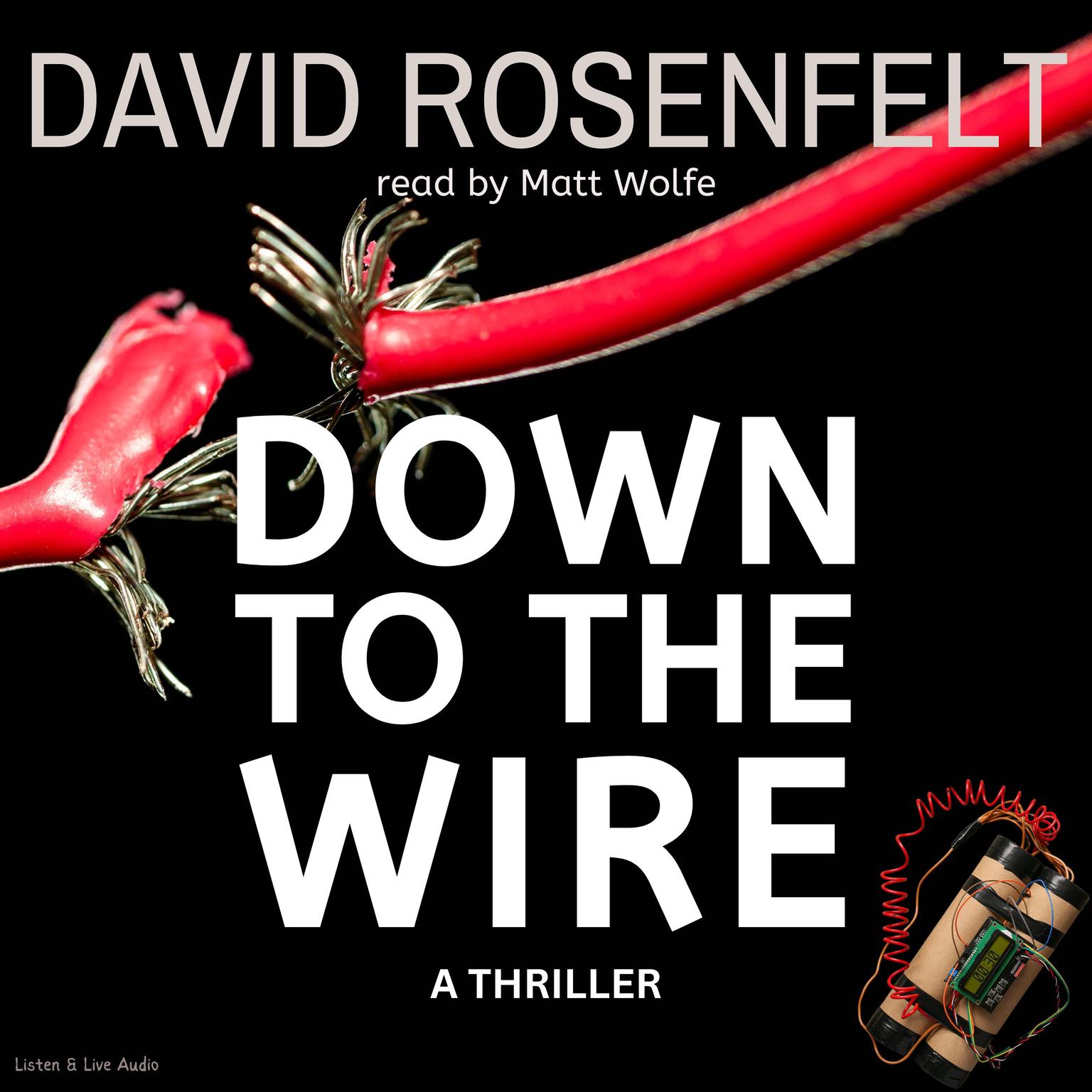 Down to the Wire Audiobook Listen Instantly!