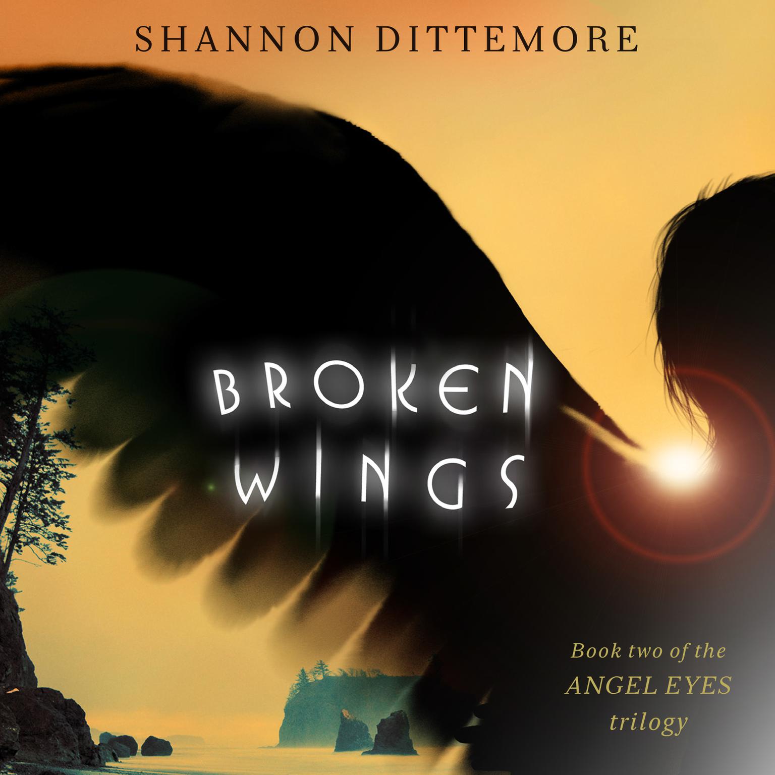 Broken Wings Audiobook by Shannon Dittemore, read by Cassandra Campbell