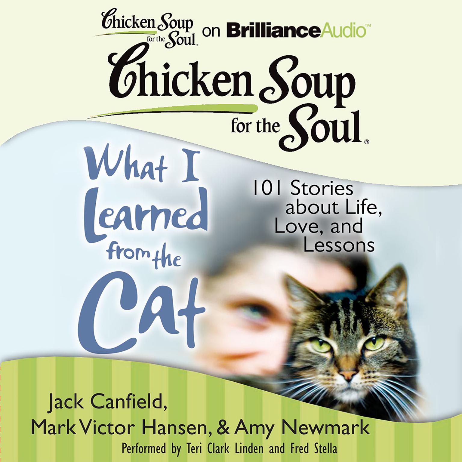 Chicken Soup for the Soul What I Learned from the Cat Audiobook