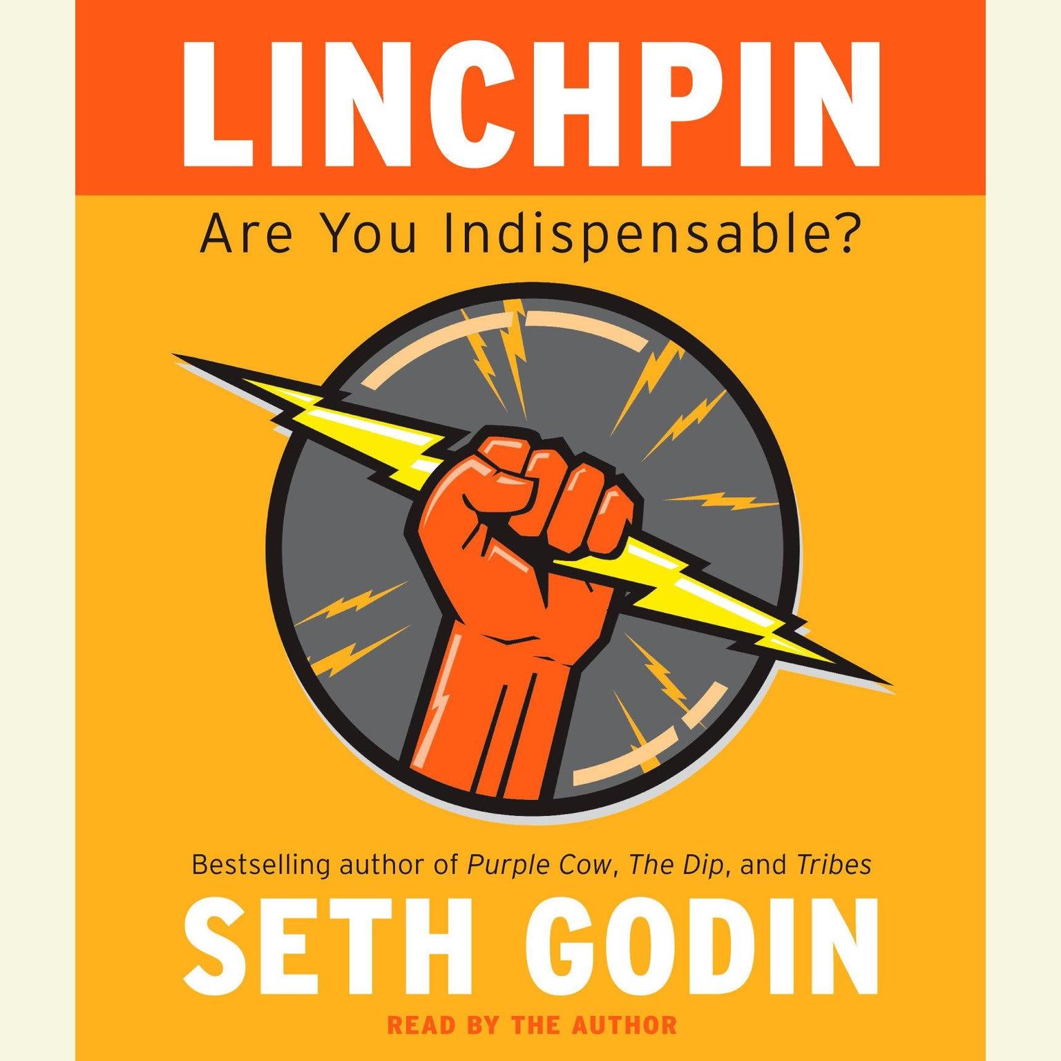Linchpin Audiobook Listen Instantly!