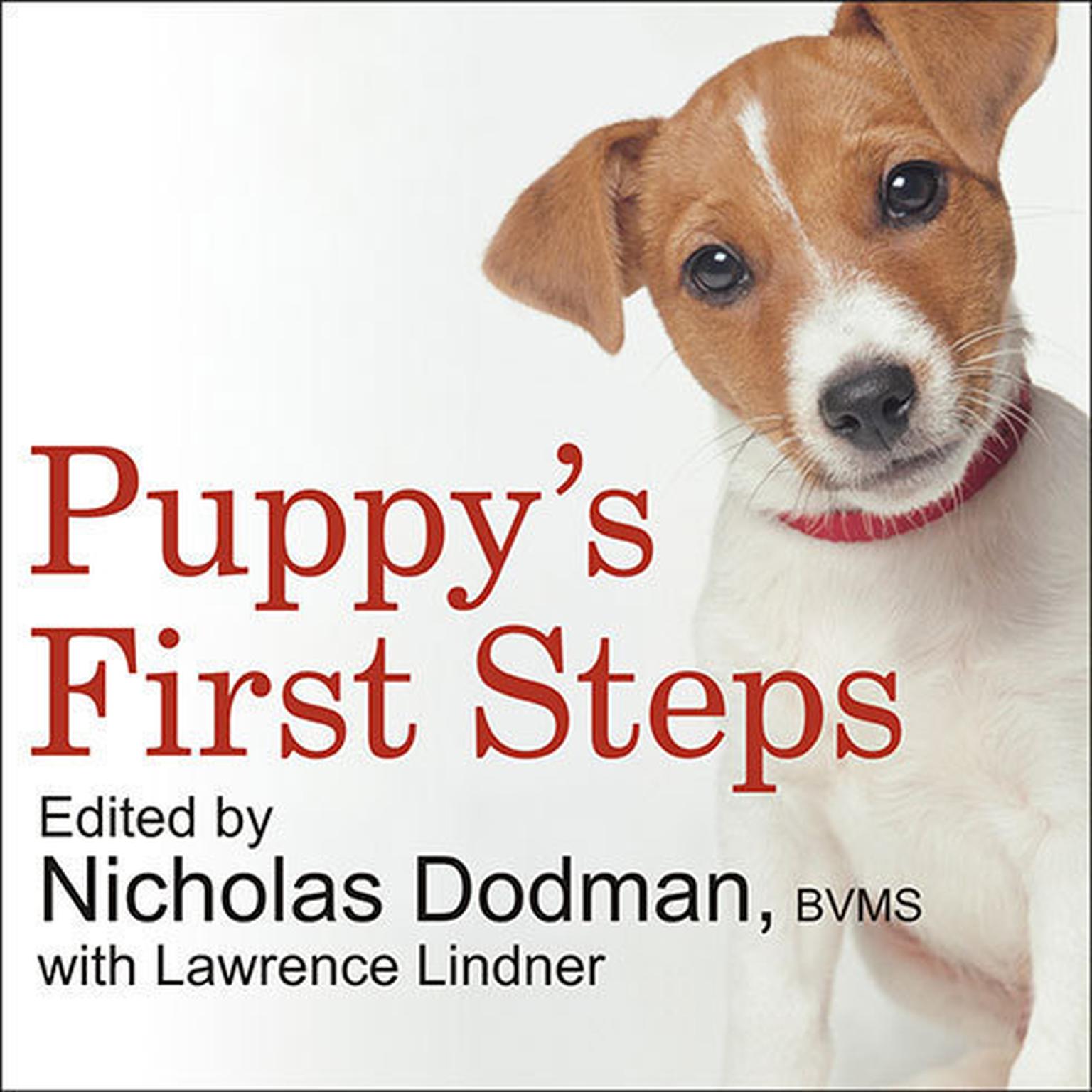 the steps to raising a puppy or dog Knowing how to potty train your puppy is fundamental to a happy dog-owner relationship kathy santo, professional dog trainer, discusses the factors and step. the steps to raising a puppy or dog Knowing how to potty train your puppy is fundamental to a happy dog-owner relationship kathy santo, professional dog trainer, discusses the factors and step.