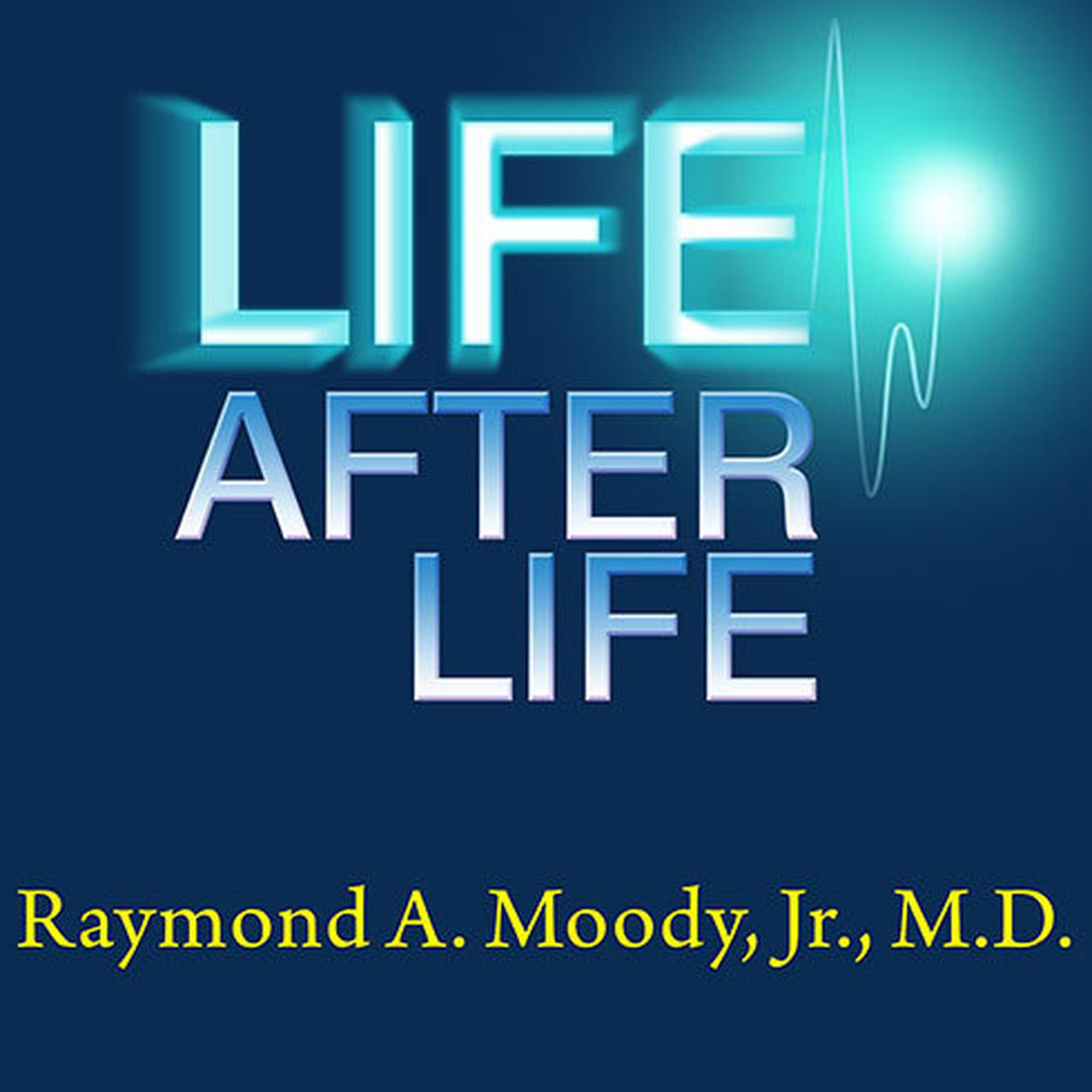 image life after life book