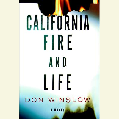 Get Download Don Winslow Pictures