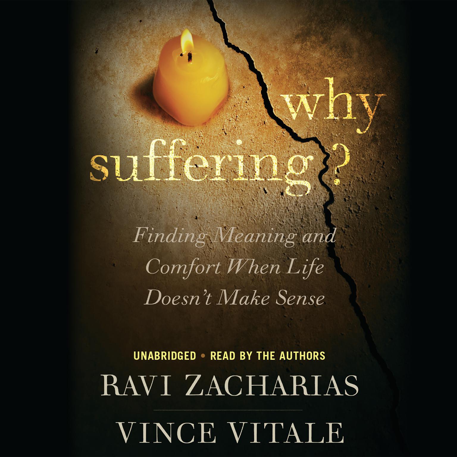 The Sense of Suffering by Jan Frans van Dijkhuizen The Sense of Suffering by Jan Frans van Dijkhuizen