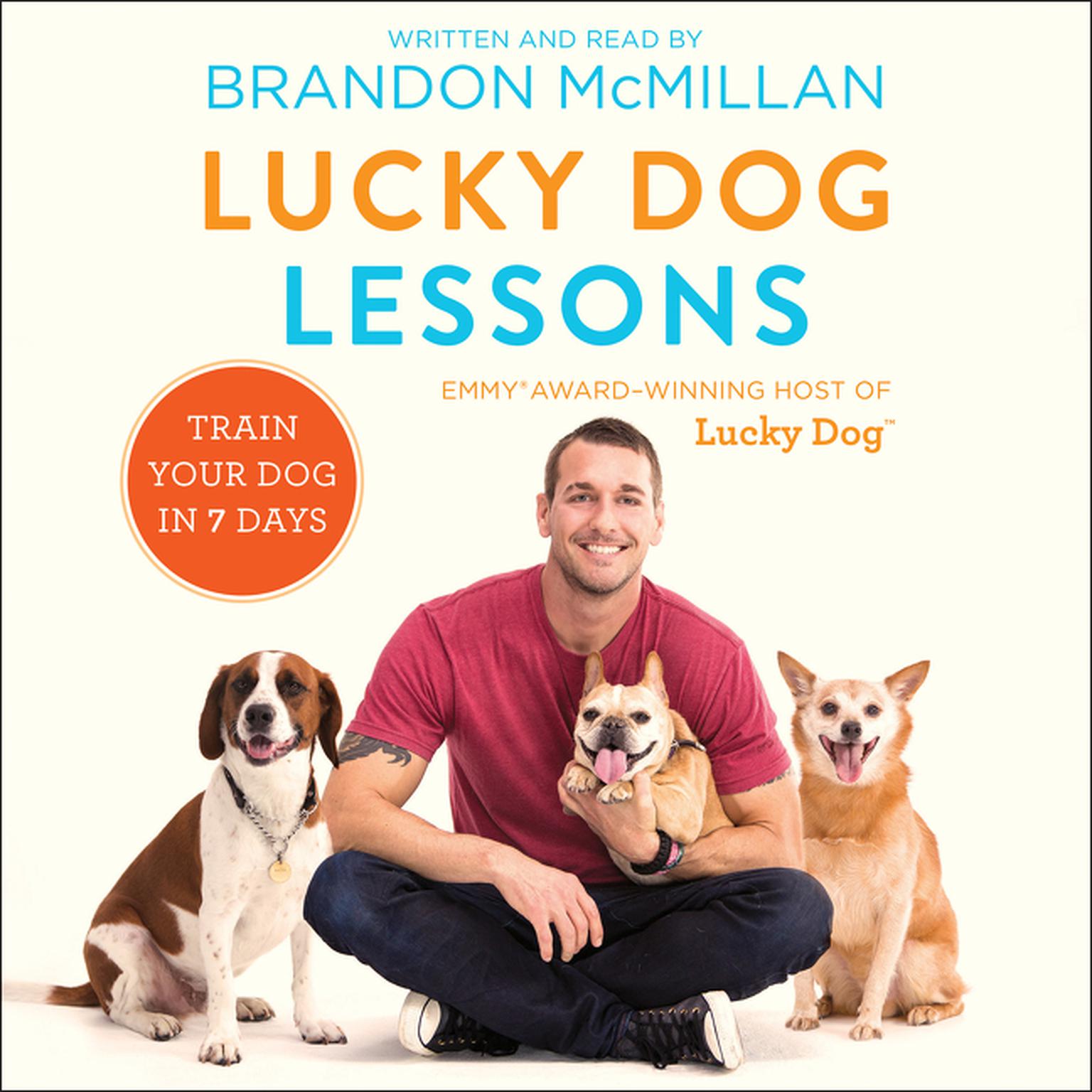 brandon mcmillan lucky lucky lessons audiobook by brandon mcmillan brandon mcmillan lucky lucky lessons audiobook by brandon mcmillan