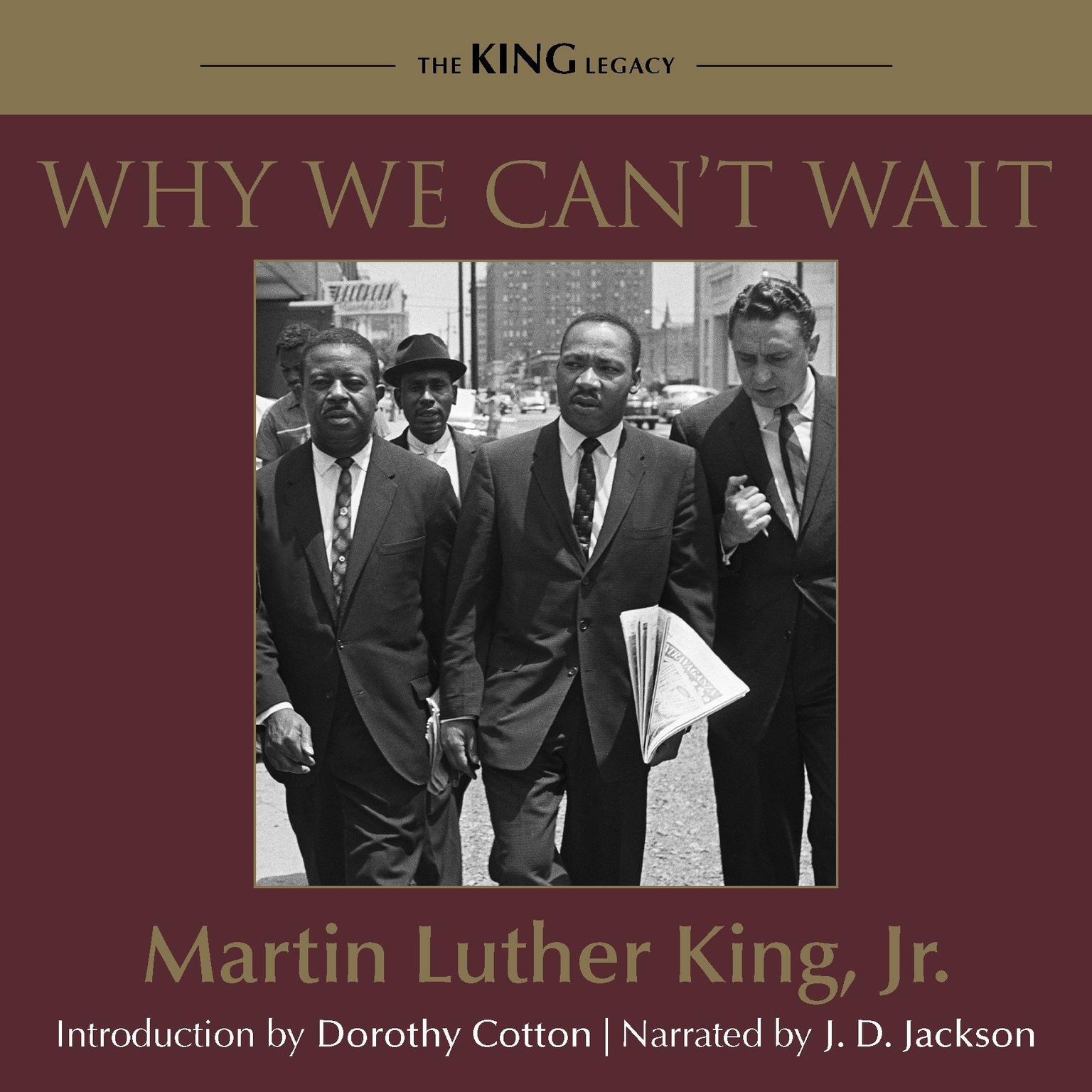 why we cant wait pdf download
