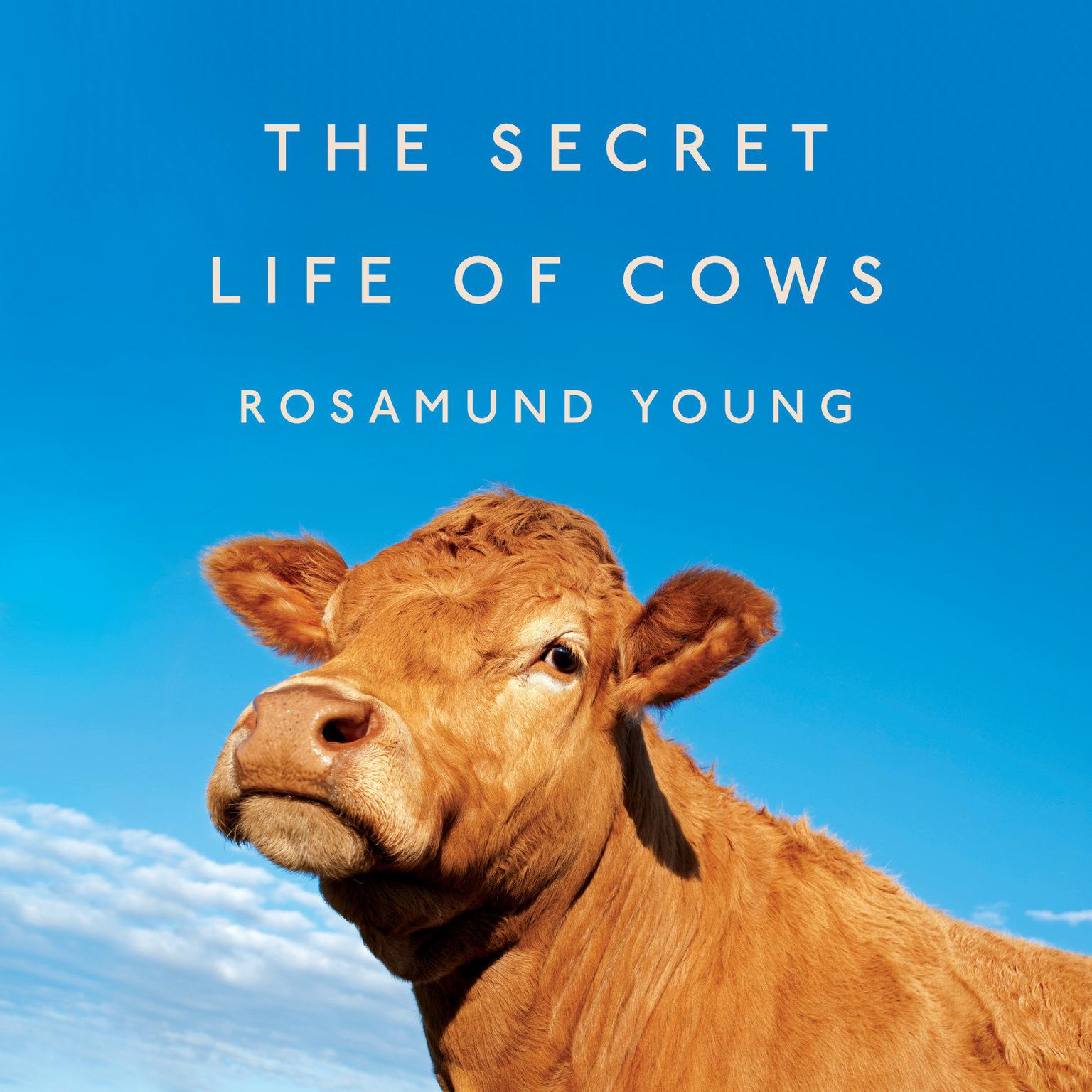 Discover The Hidden Heart Secret Of Cows! - jhszoe3