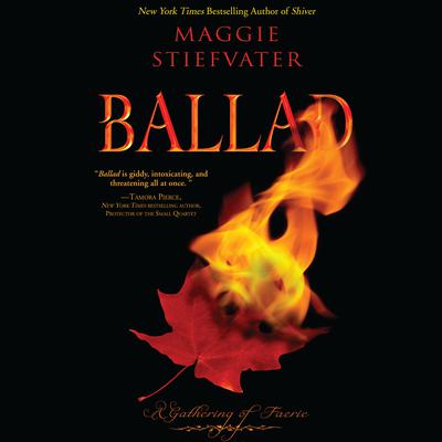 Adult audio book fiction Apologise, but, Adult audio book fiction